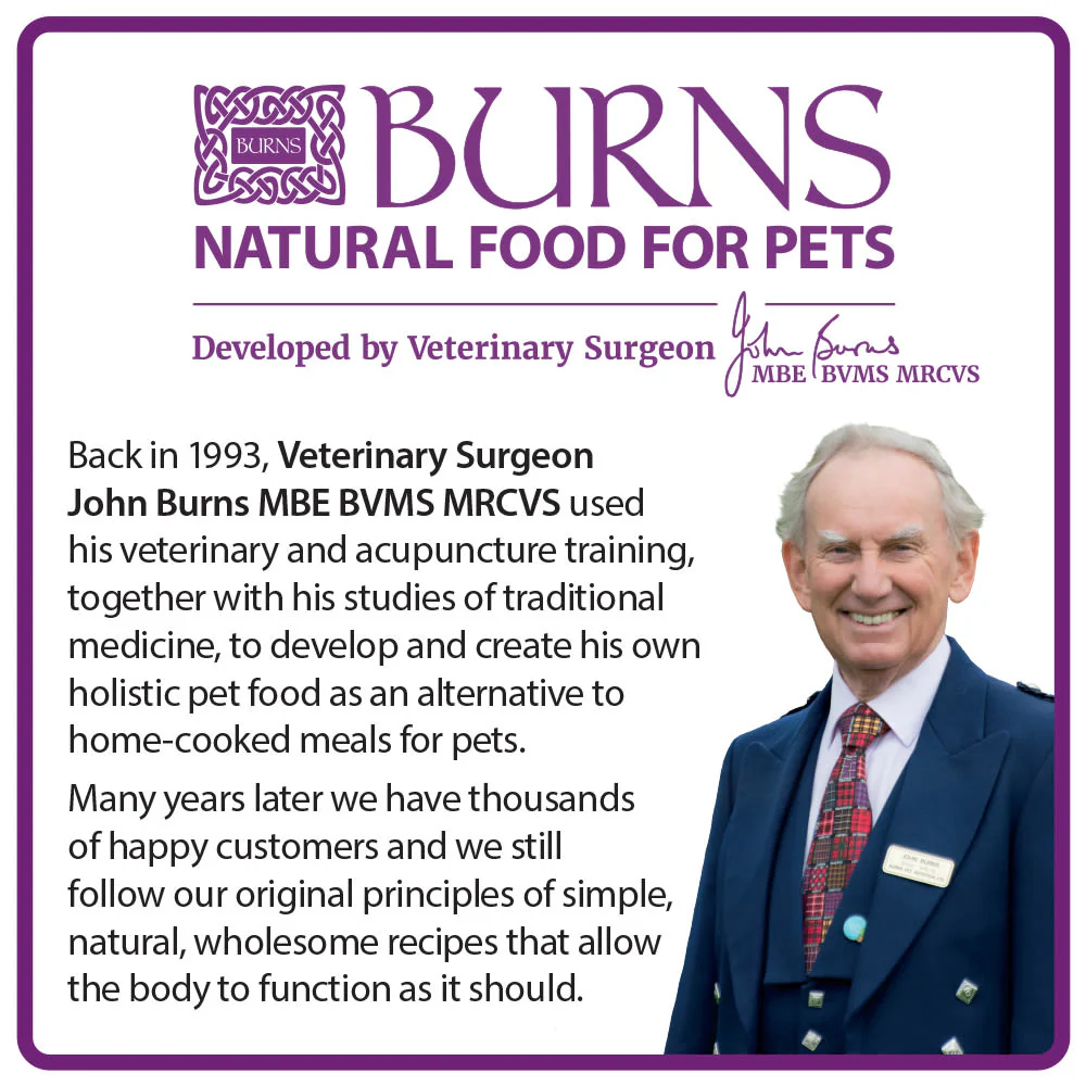 Burns Original Adult/Senior Dry Cat Food - Turkey & Brown Rice - Image 5