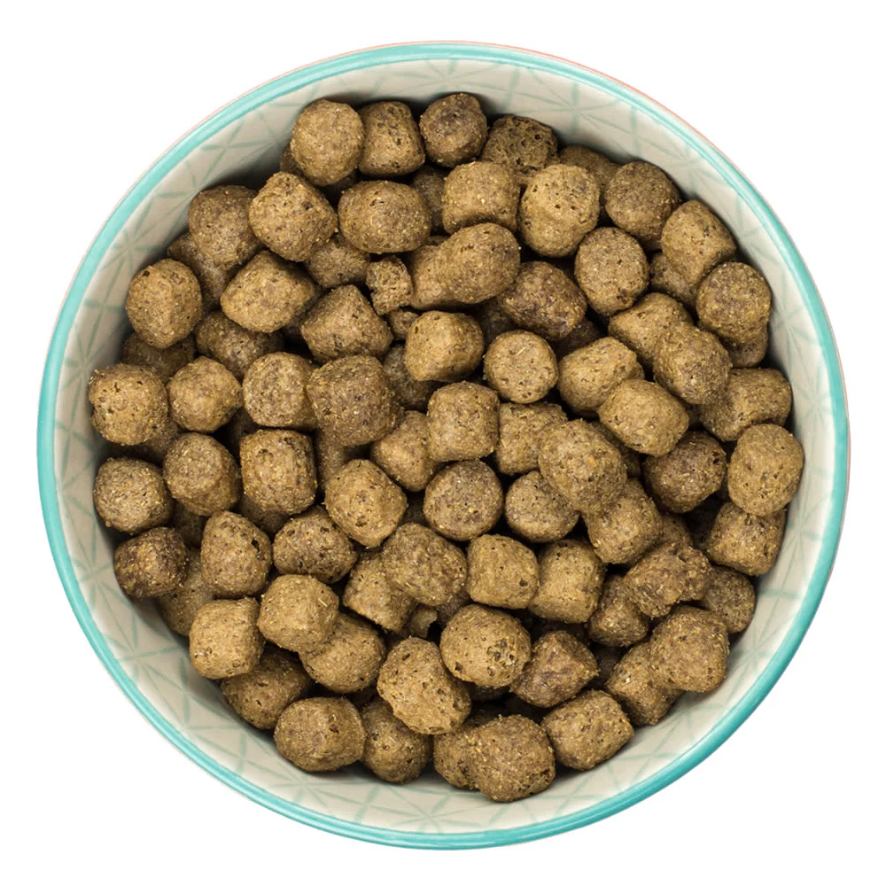 Burns Original Adult/Senior Dry Dog Food - Chicken & Brown Rice - Image 6