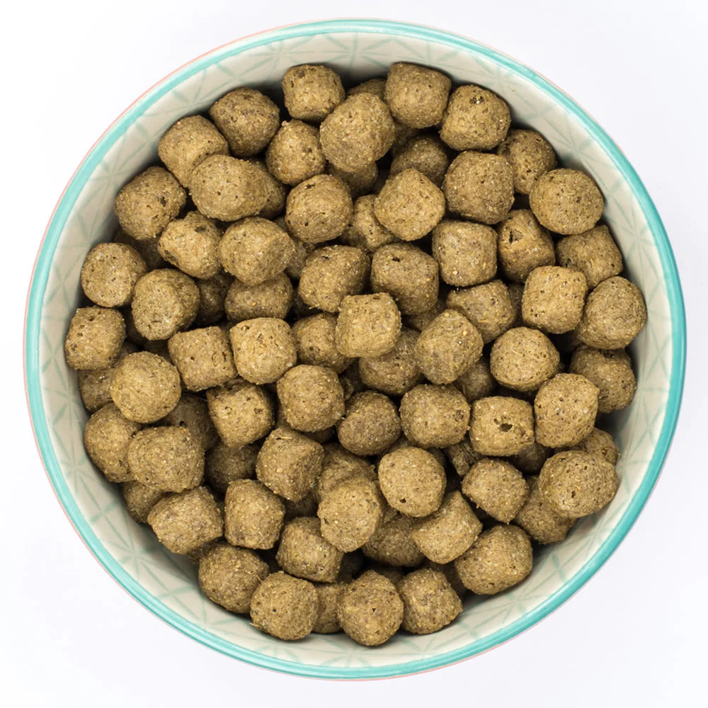 Burns Original Adult/Senior Dry Dog Food - Fish & Brown Rice - Image 6