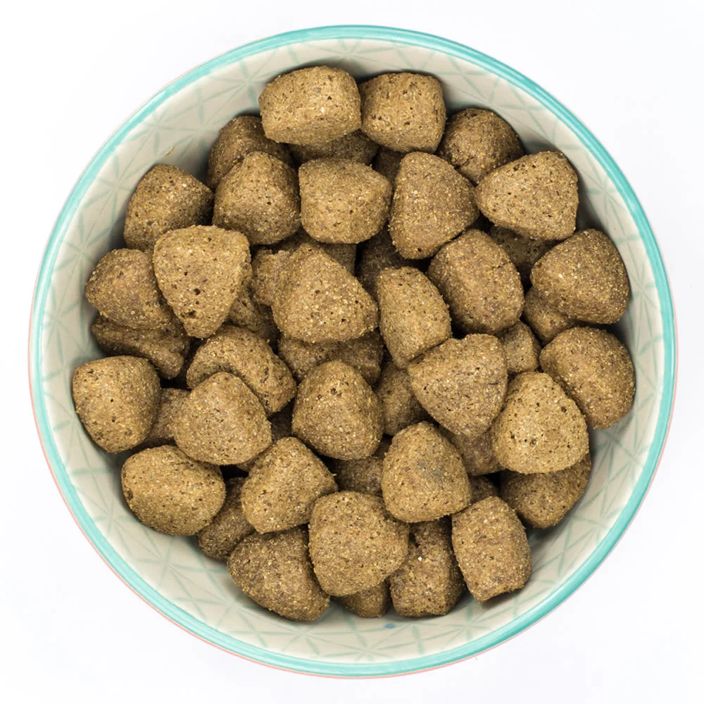 Burns Original Adult/Senior Large/Giant Breed Dry Dog Food - Chicken & Rice - Image 3