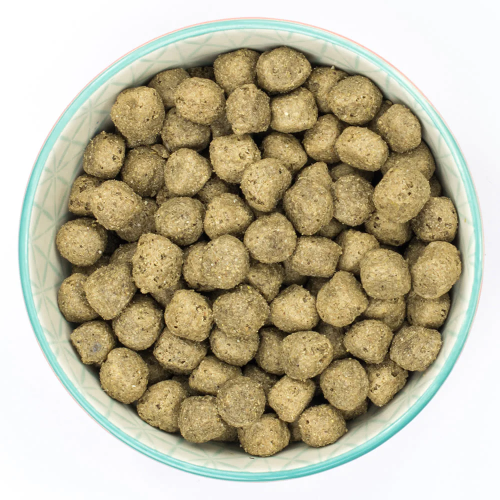Burns Sensitive Adult Dry Dog Food - Pork & Potato - Image 5