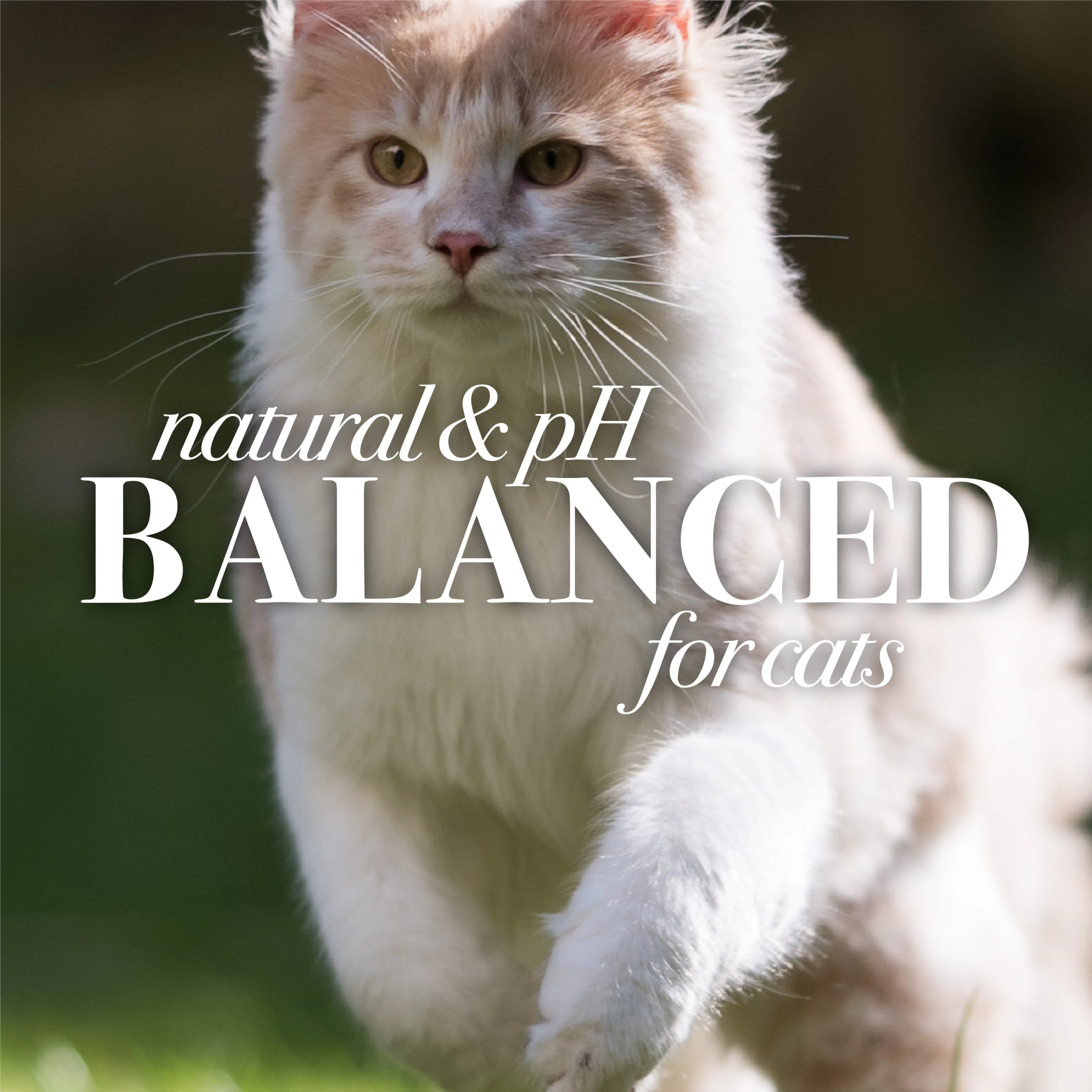 Burt's Bees Dander Cat Wipes - Image 6