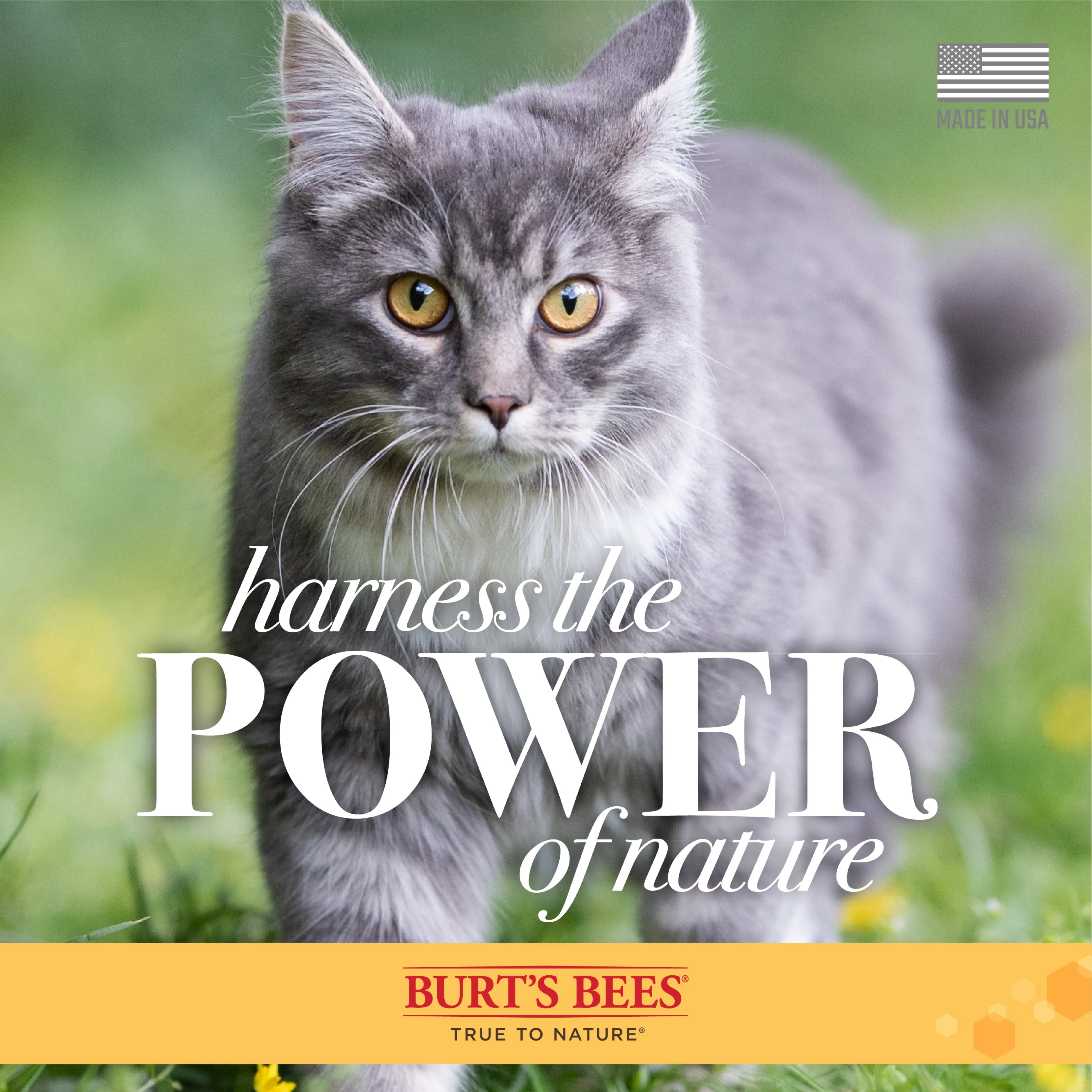 Burt's Bees Dander Cat Wipes - Image 7