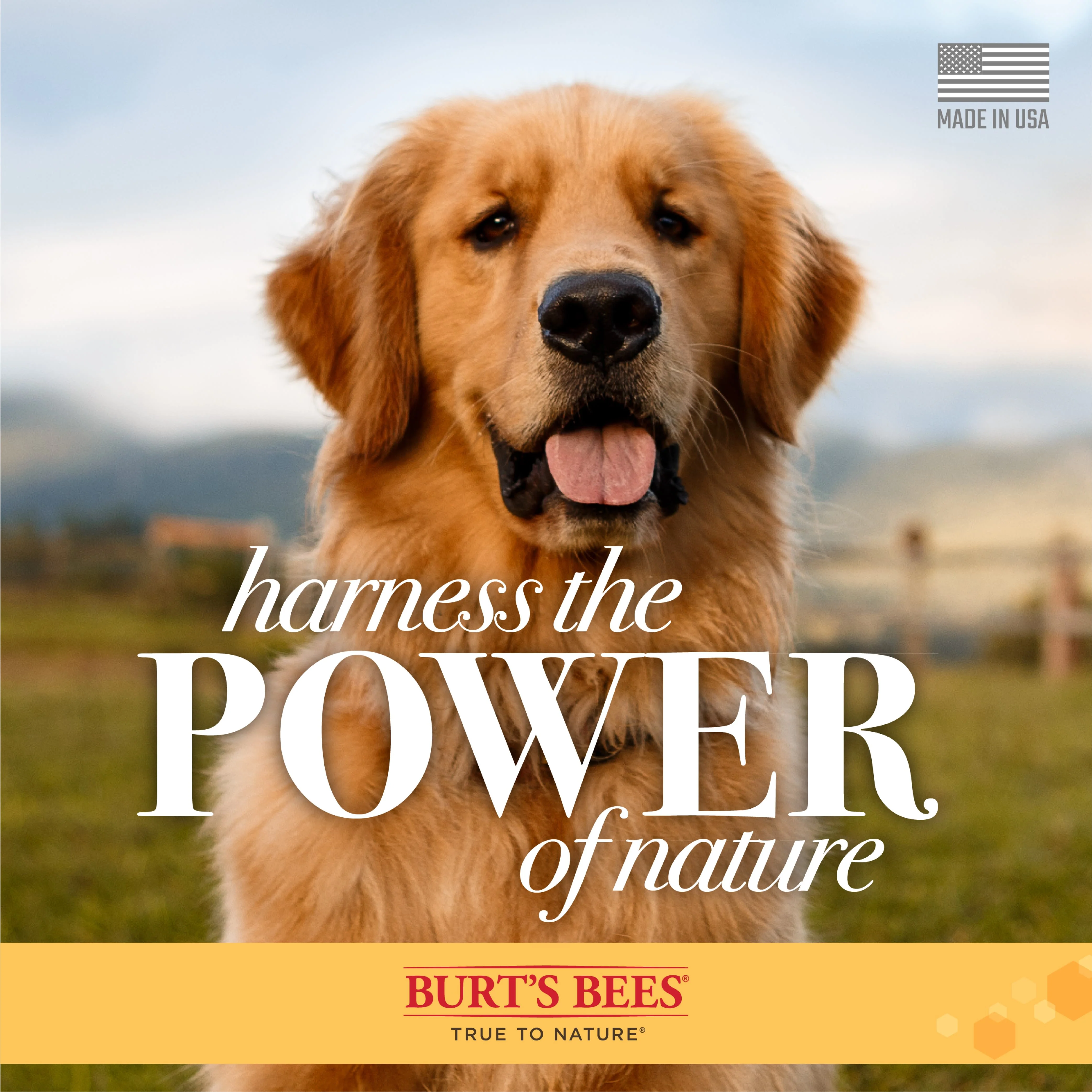 Burt's Bees Multipurpose Dog Wipes with Honey - Image 7