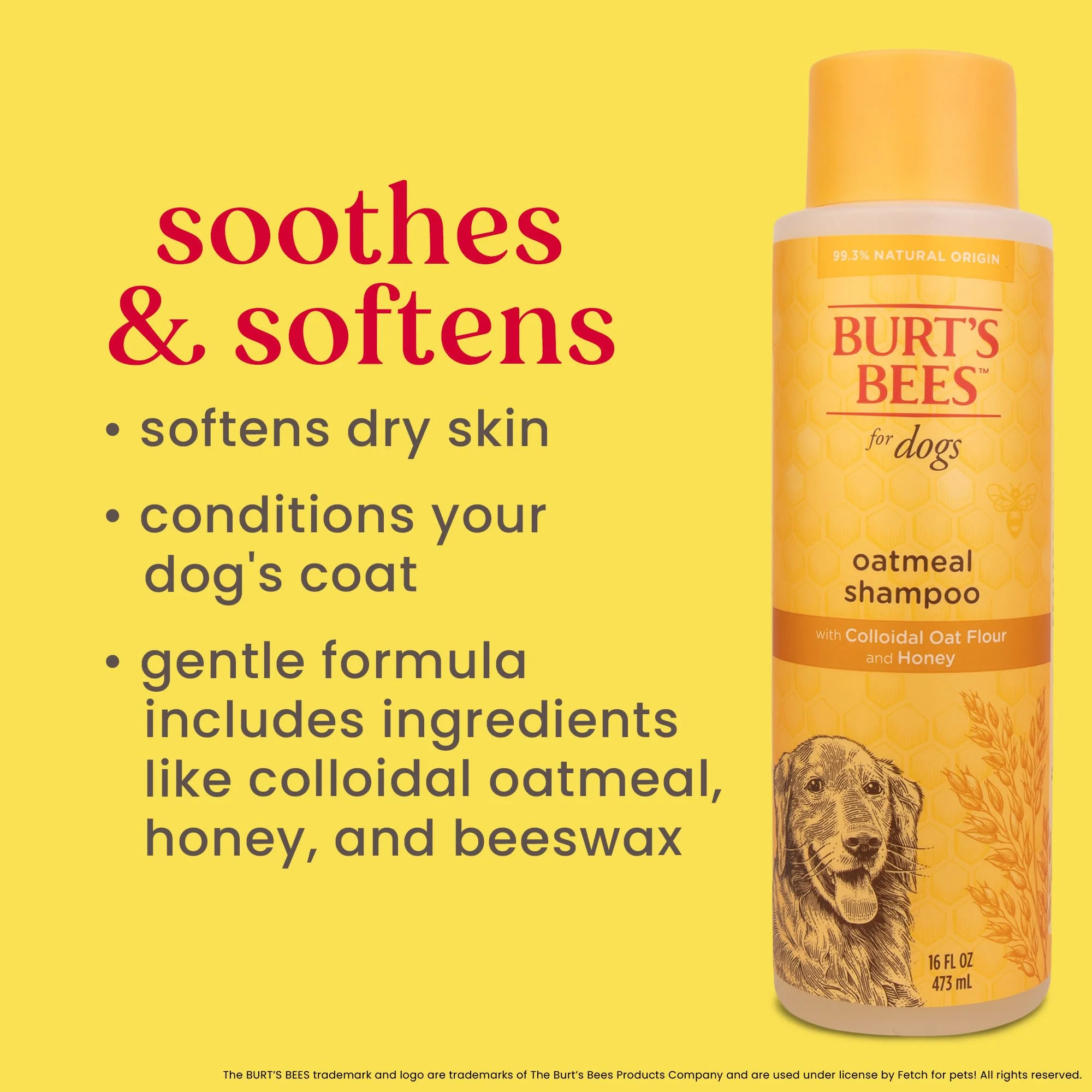 Burt's Bees Oatmeal Dog Shampoo - Image 4
