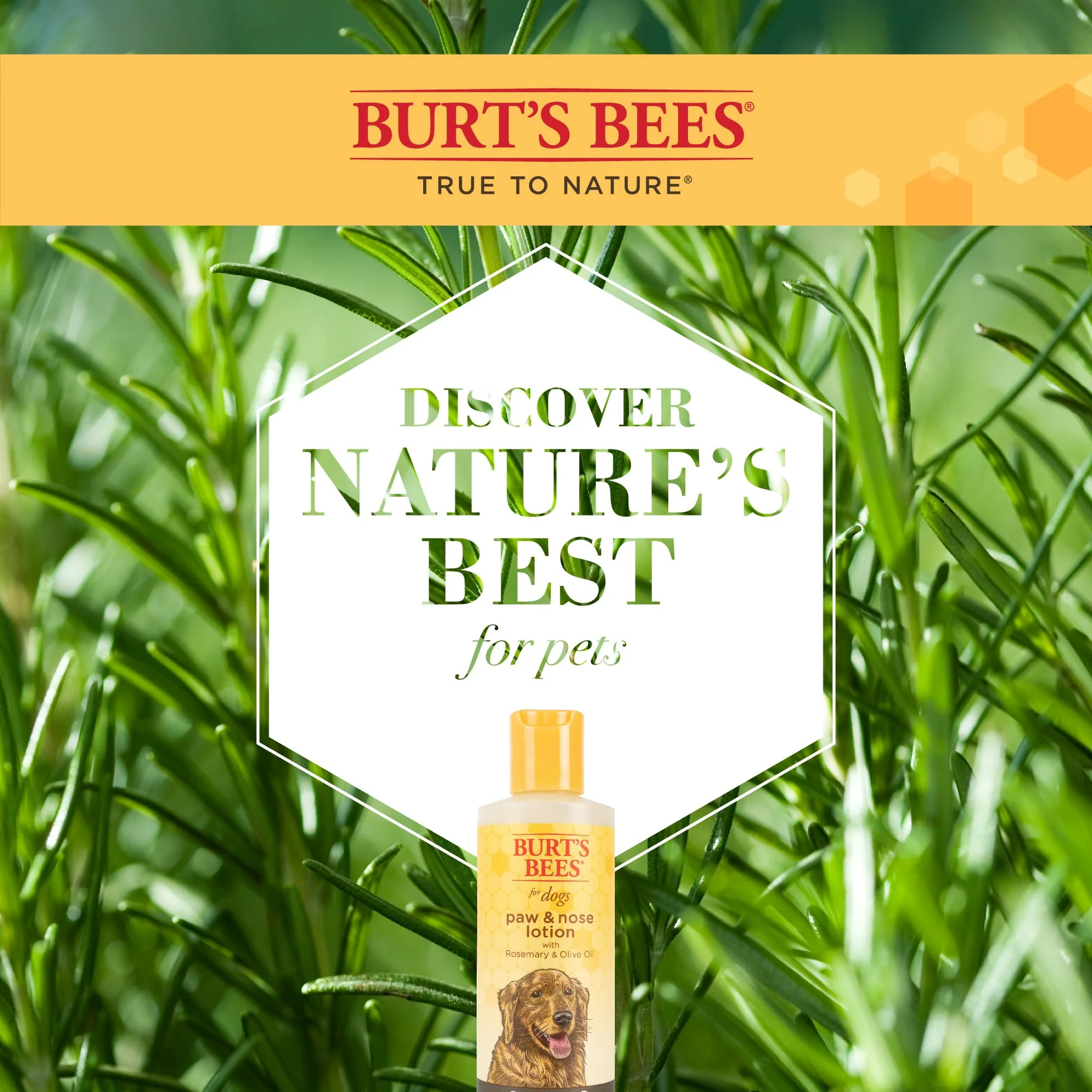 Burt's Bees Paw & Nose Dog Lotion - Image 5