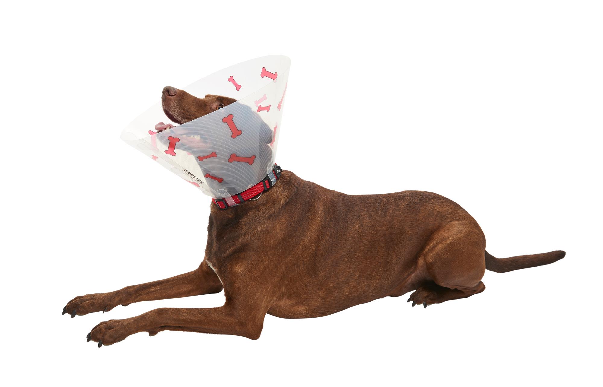 Buster Design Dog Collar Bones - Red - Image 10