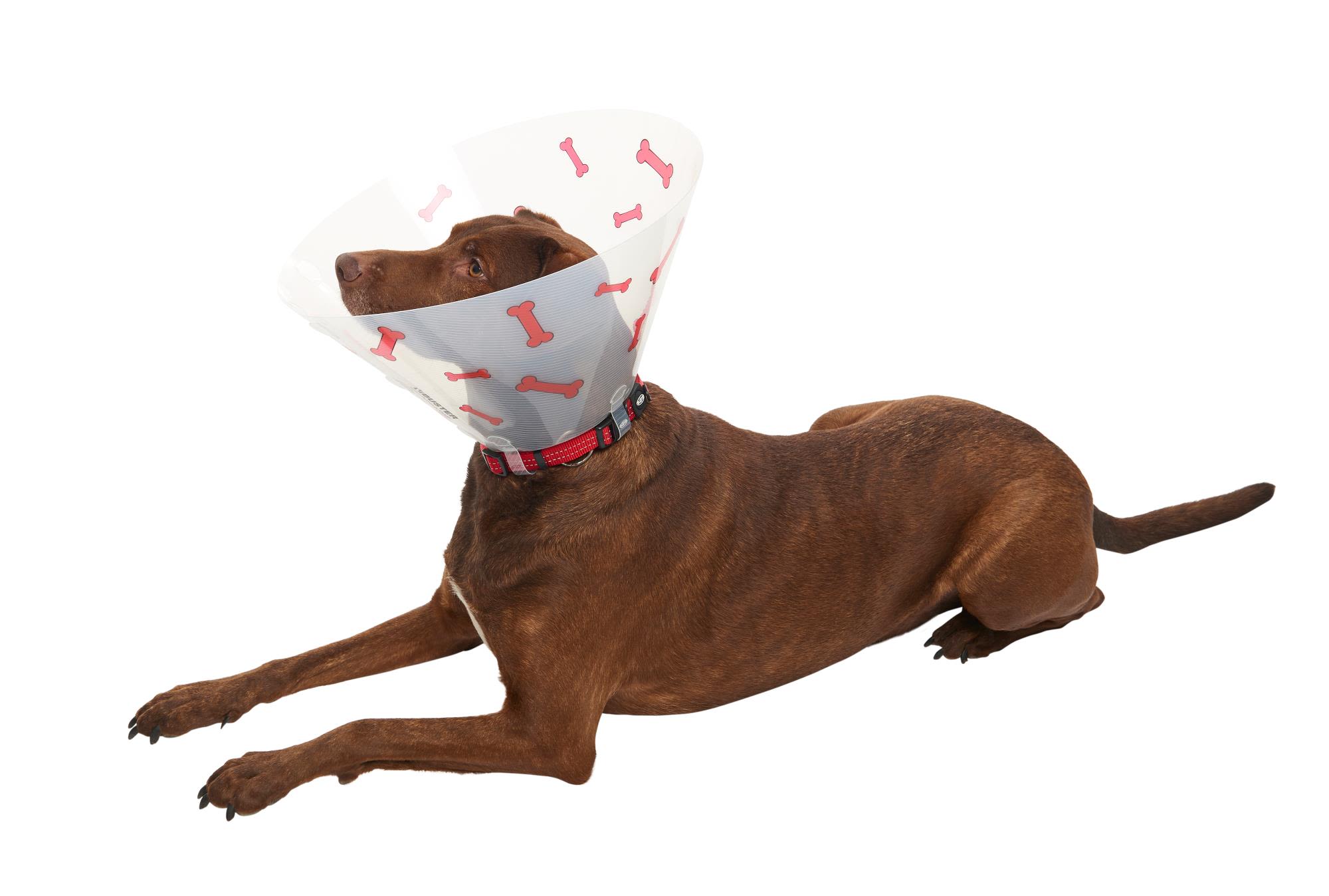 Buster Design Dog Collar Bones - Red - Image 11
