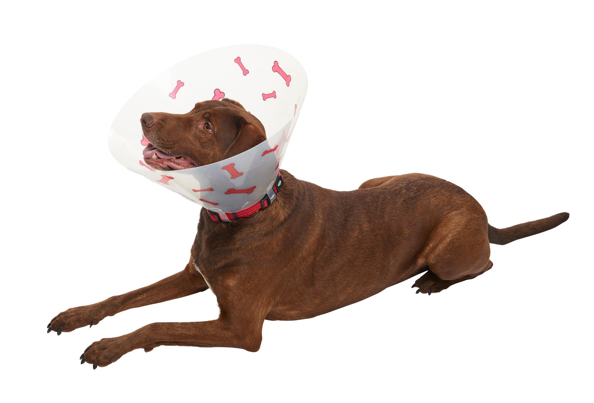 Buster Design Dog Collar Bones - Red - Image 8