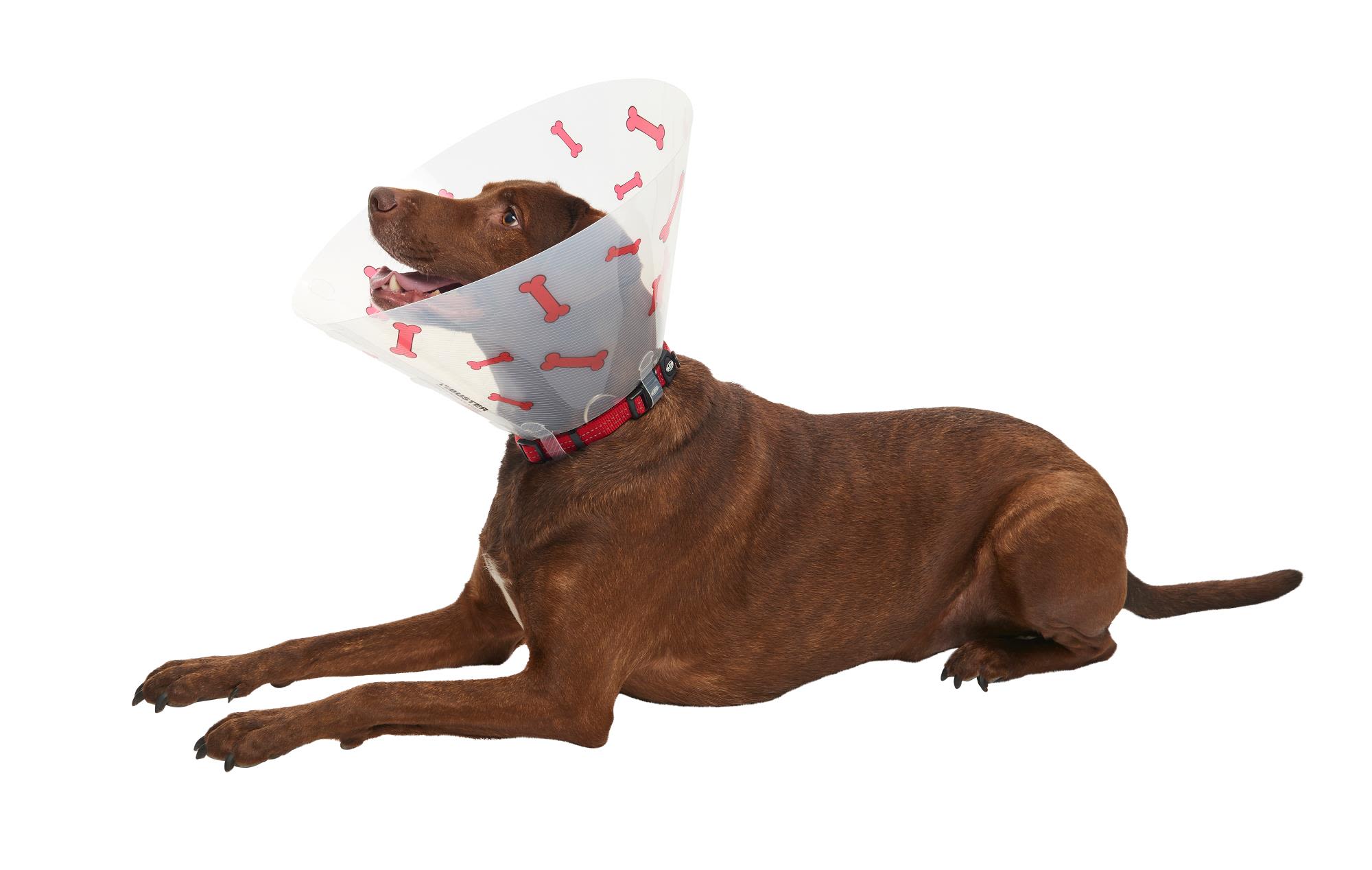 Buster Design Dog Collar Bones - Red - Image 9