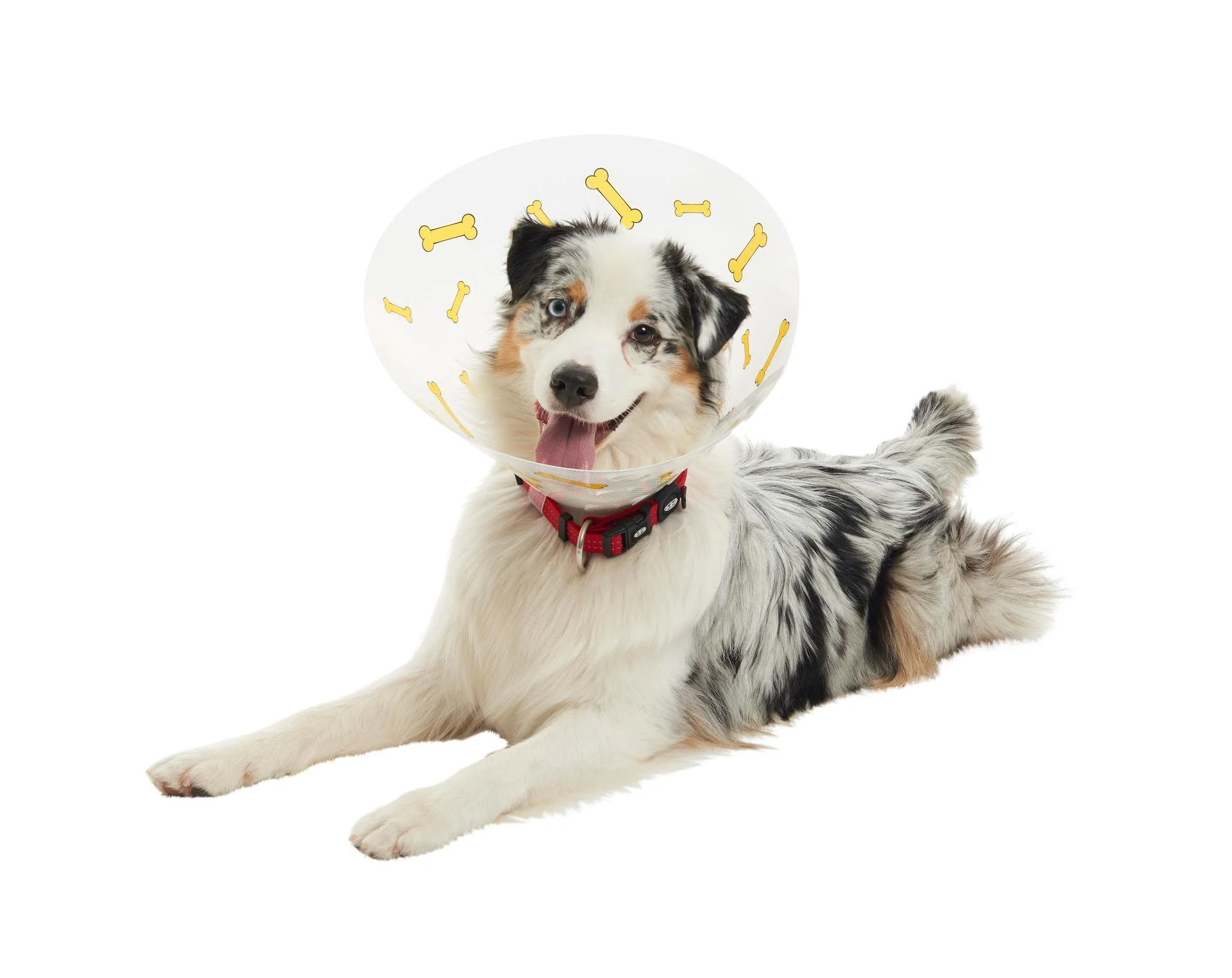 Buster Design Dog Collar Bones - Yellow - Image 10