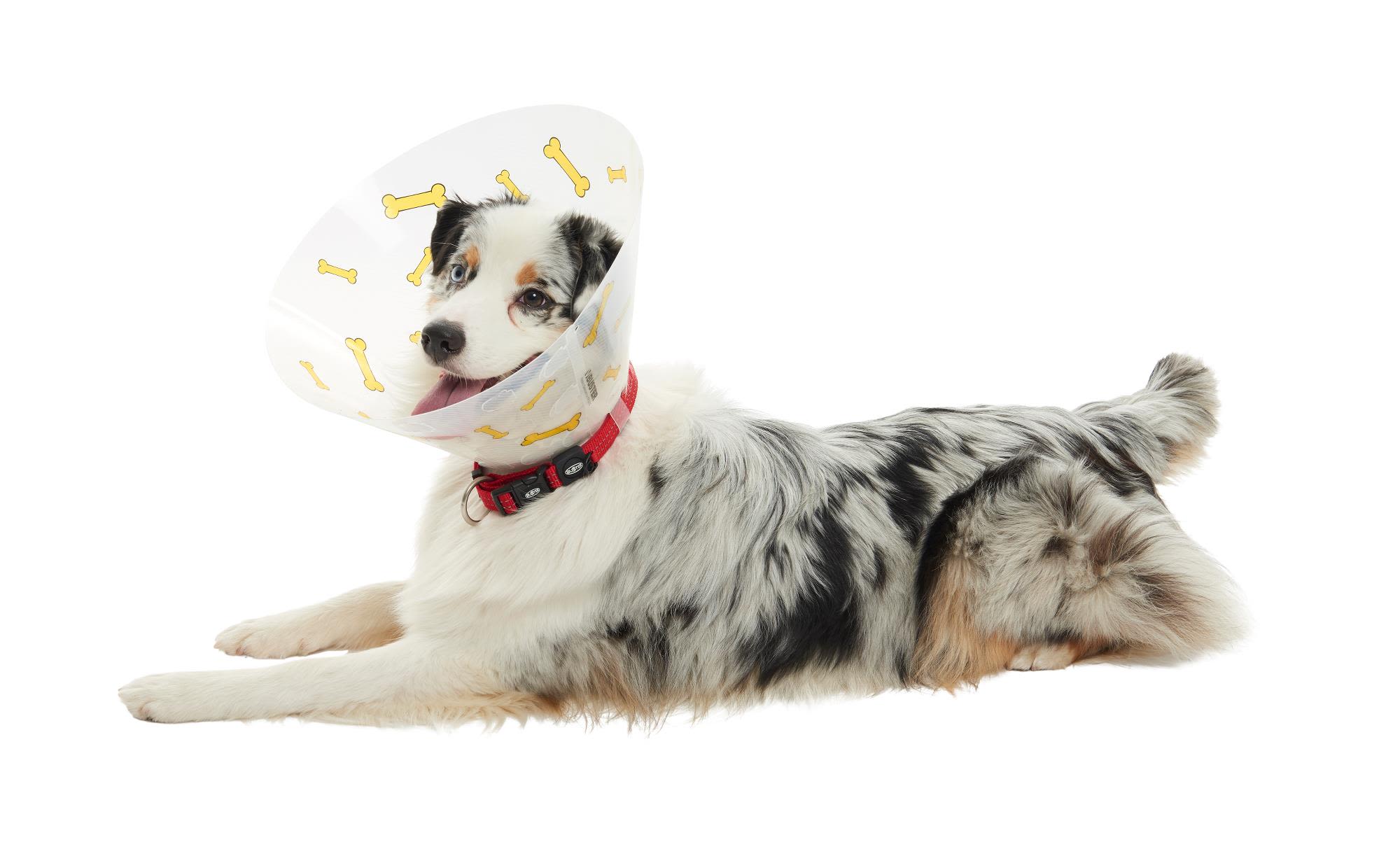 Buster Design Dog Collar Bones - Yellow - Image 11