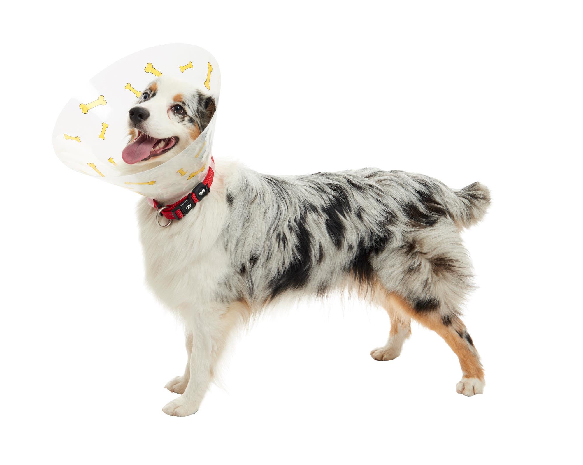 Buster Design Dog Collar Bones - Yellow - Image 7