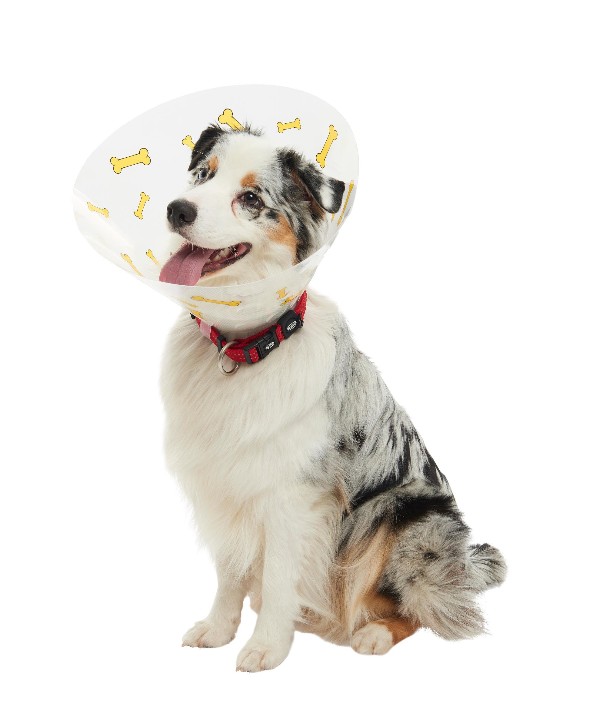 Buster Design Dog Collar Bones - Yellow - Image 8