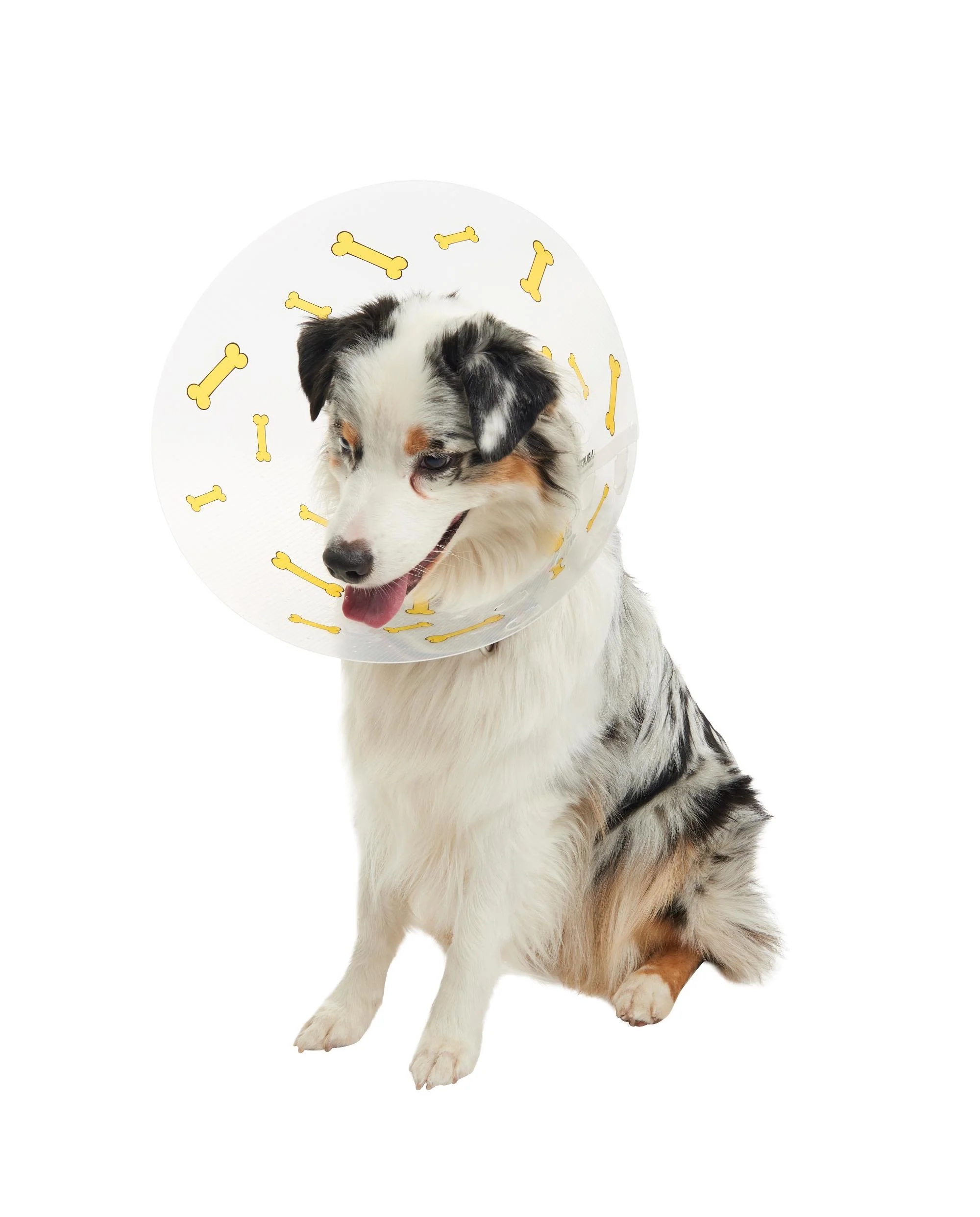 Buster Design Dog Collar Bones - Yellow - Image 9