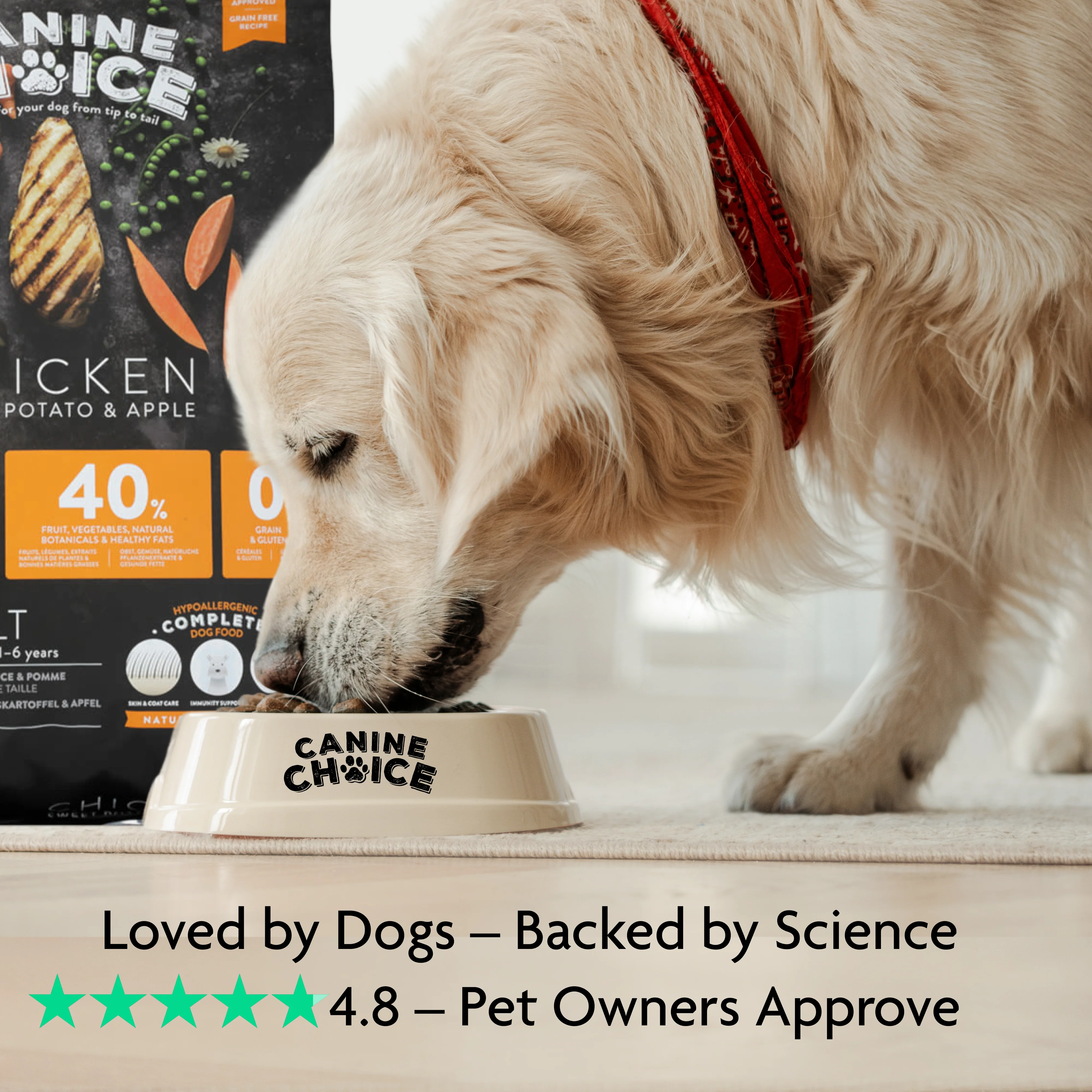 Canine Choice Super Premium Grain-Free Medium Adult Dry Dog Food – Chicken | 10kg - Image 5