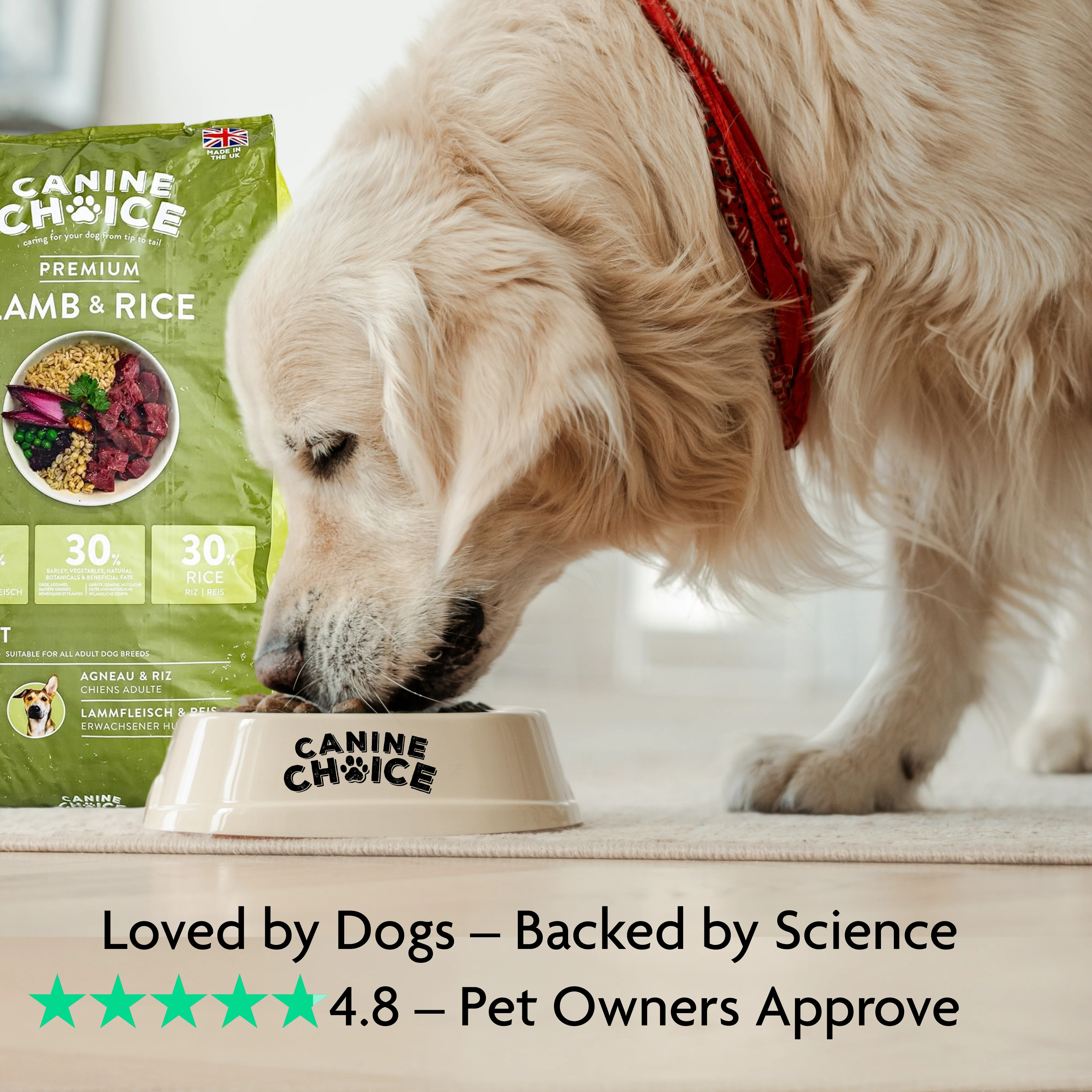 Canine Choice Premium Lamb Hypoallergenic Adult Dry Dog Food - Image 6