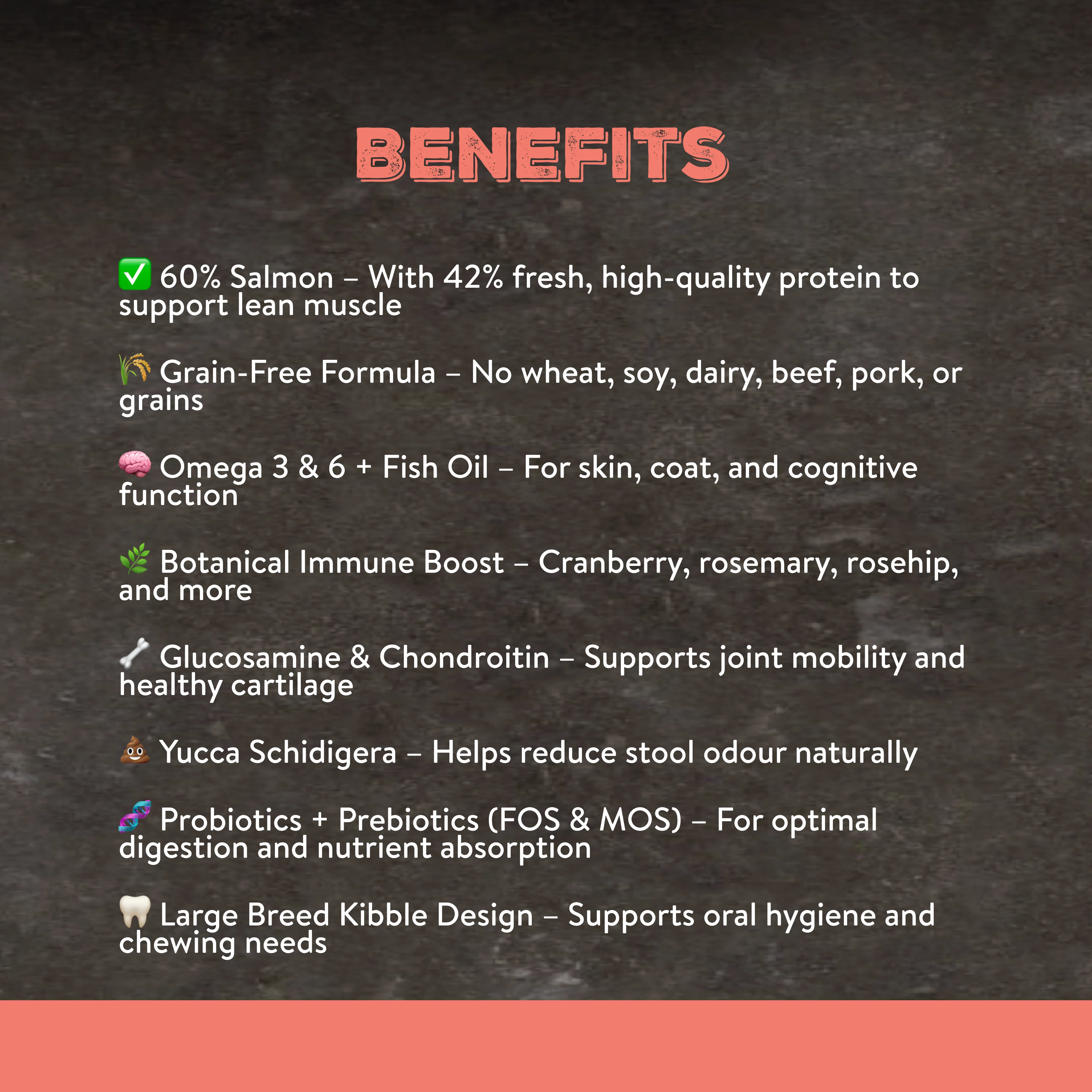 Canine Choice Super Premium Grain-Free Large Adult Dry Dog Food – Salmon | 12kg - Image 4