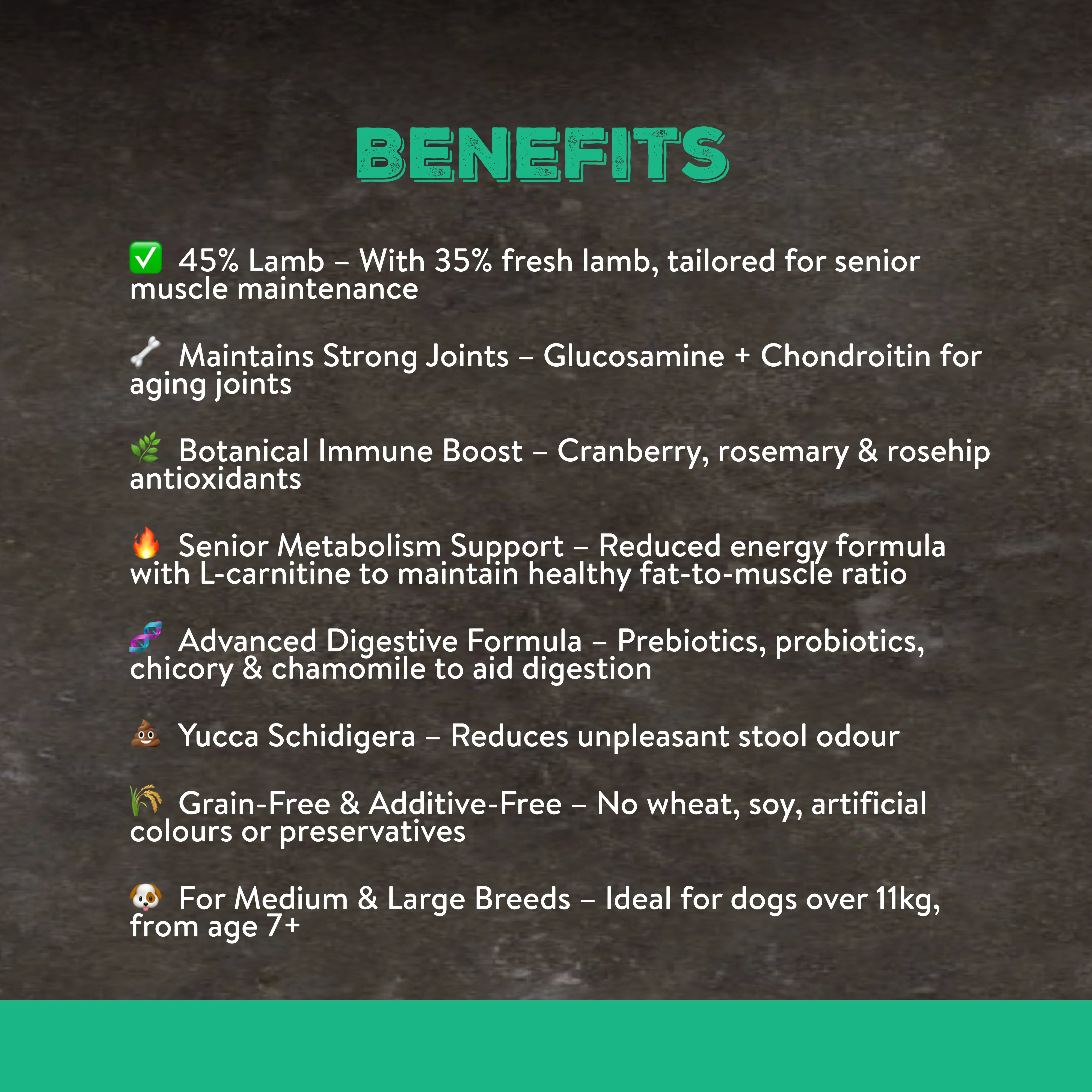 Canine Choice Super Premium Grain-Free Light Medium & Large Senior Dry Dog Food – Lamb | 12kg - Image 4