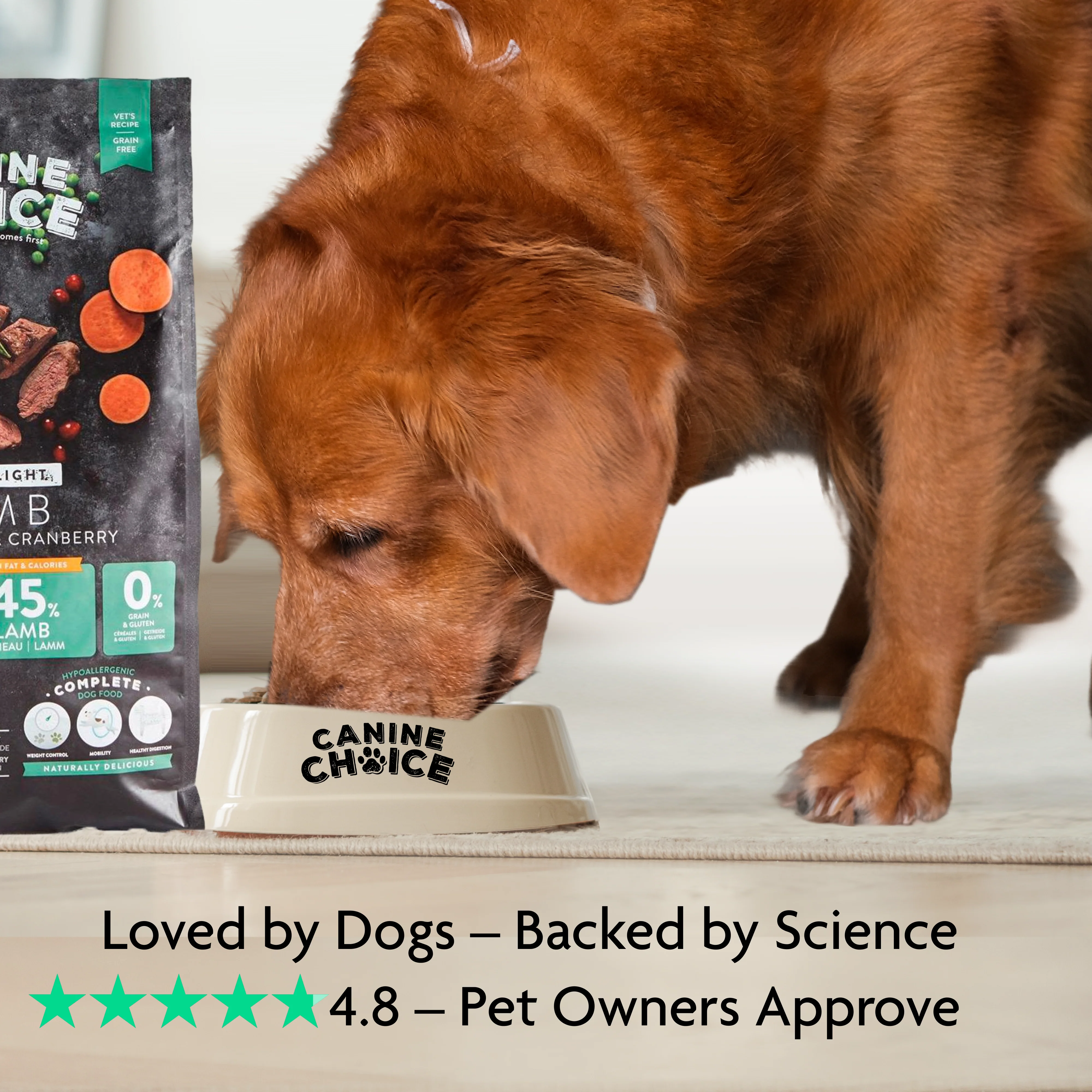 Canine Choice Super Premium Grain-Free Medium Adult Dry Dog Food – Lamb | 10kg - Image 5