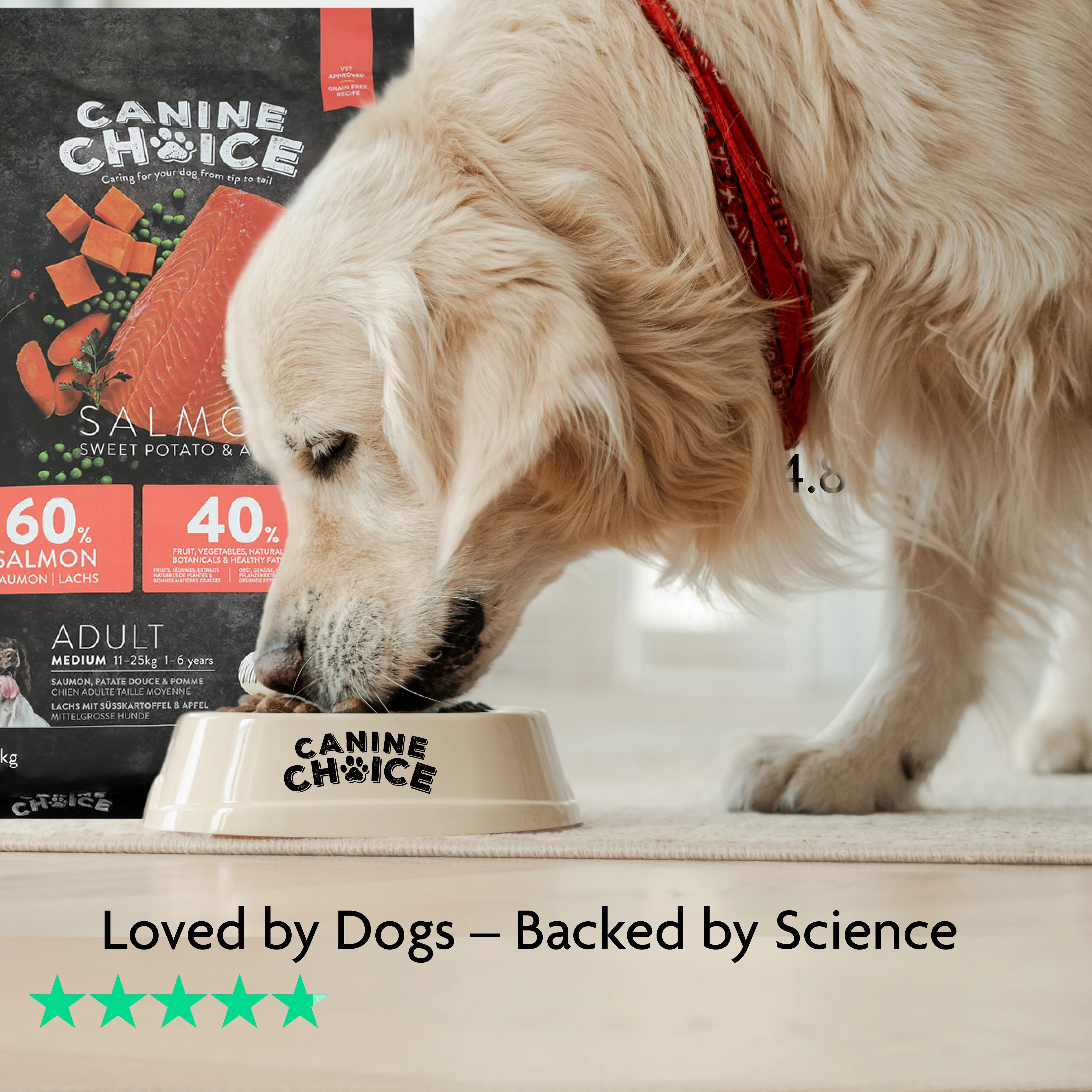 Canine Choice Super Premium Grain-Free Small Adult Dry Dog Food – Salmon | 7kg - Image 5