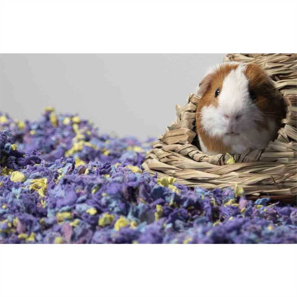 Carefresh Confetti Small Animal Bedding - Image 5