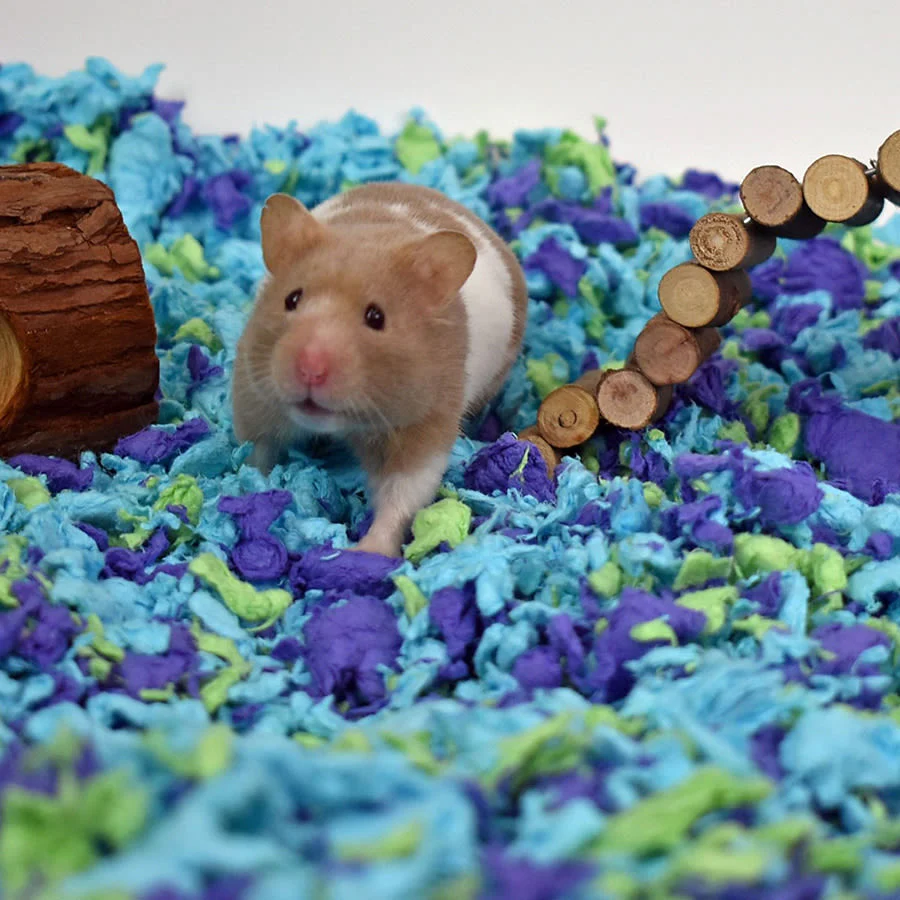 Carefresh Sea Glass Small Animal Bedding - Image 3