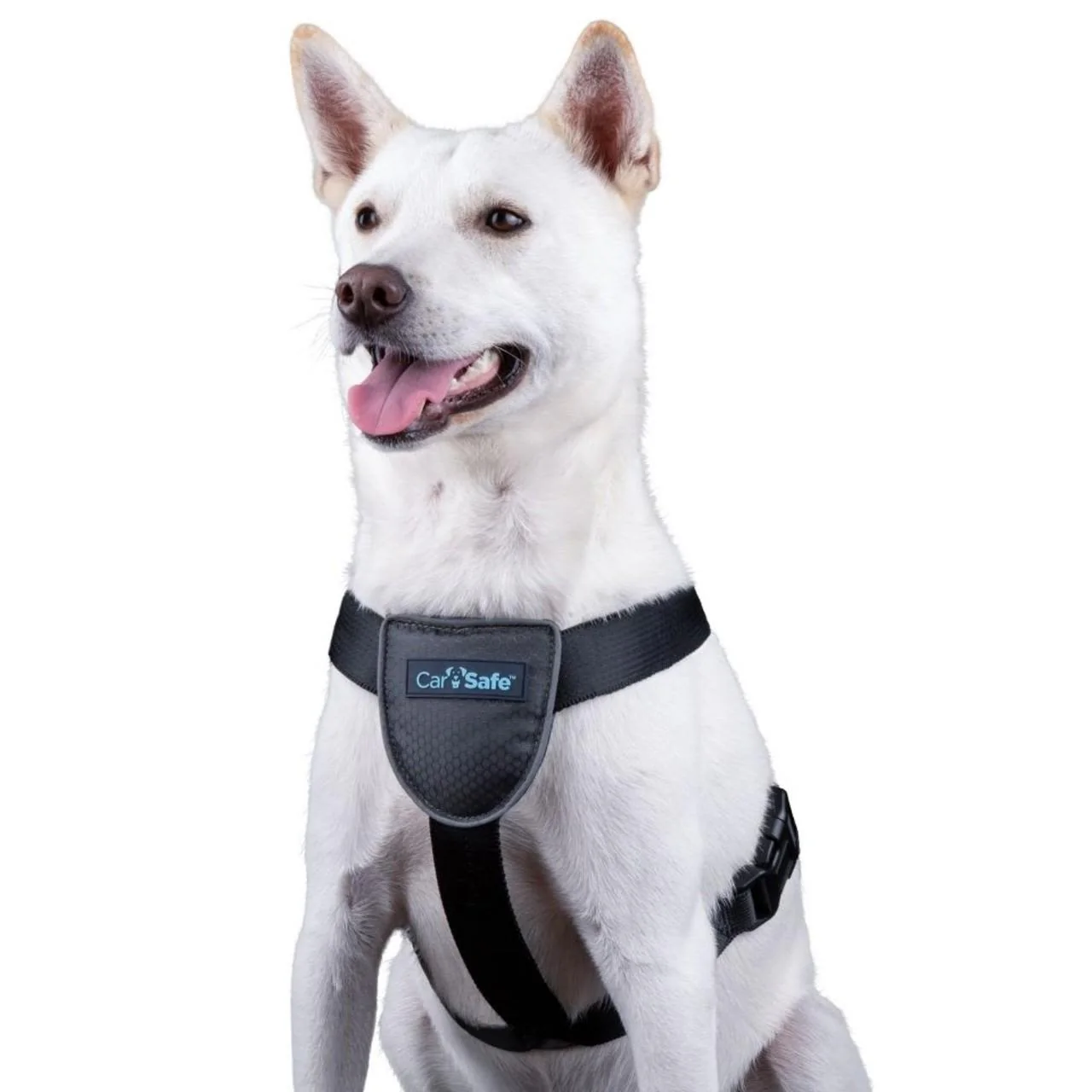 CarSafe Black Travel Harness for Dog - Image 4