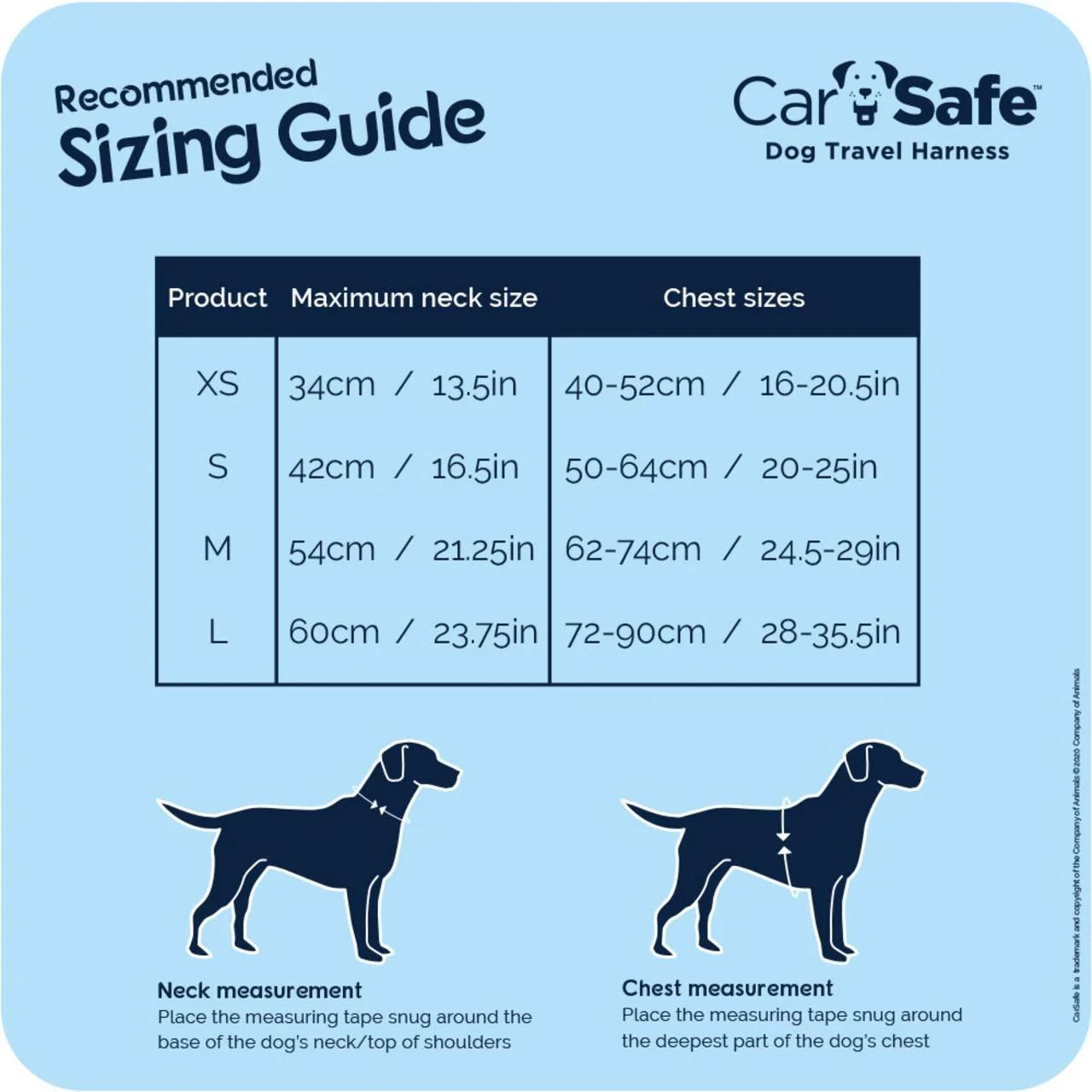 CarSafe Black Travel Harness for Dog - Image 7