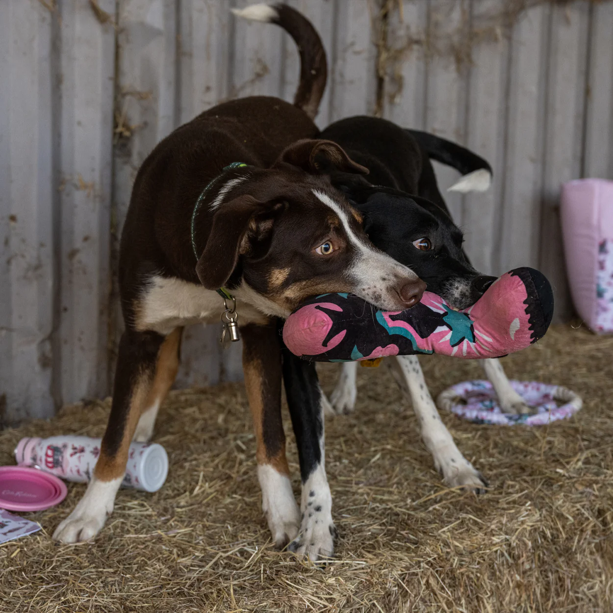 Cath Kidston Cowgirl Boot Dog Plush Toy - Image 4
