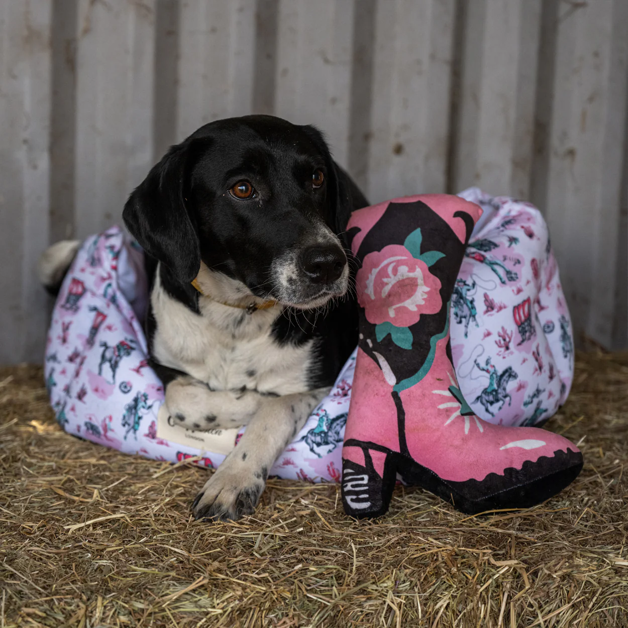 Cath Kidston Cowgirl Boot Dog Plush Toy - Image 6