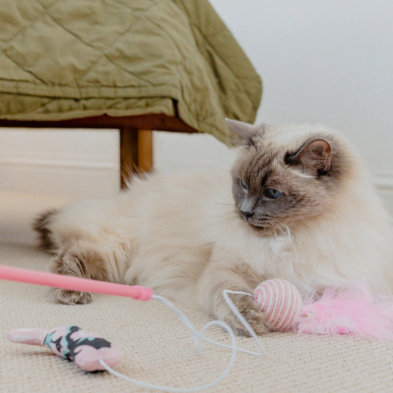 Cath Kidston Cowgirl Cat Teaser - Image 5