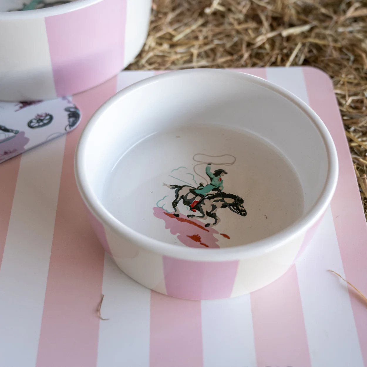 Cath Kidston Cowgirl Ceramic Pet Bowl - Image 9
