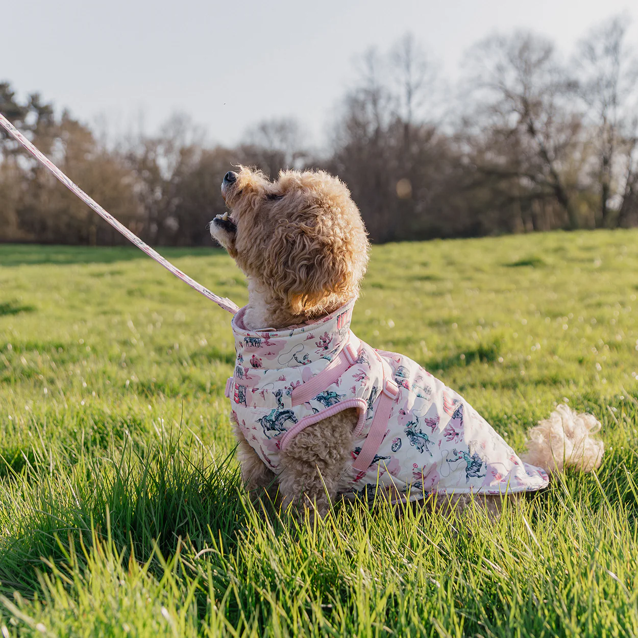 Cath Kidston Cowgirl Dog Coat with Harness - Image 6