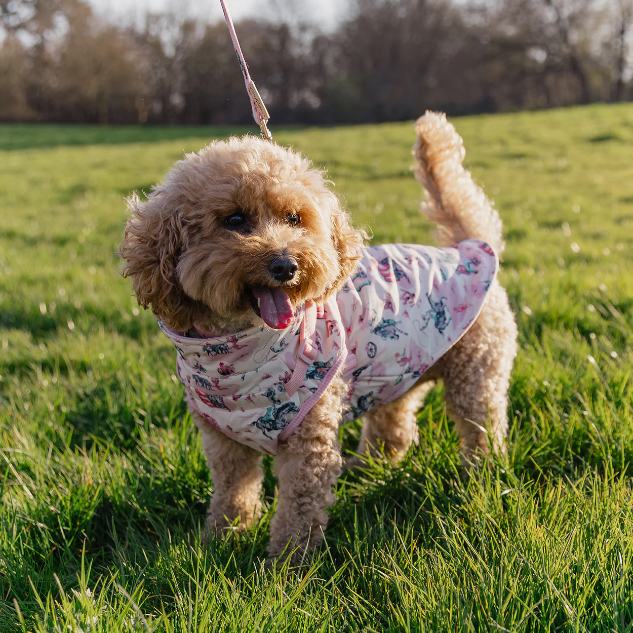 Cath Kidston Cowgirl Dog Coat with Harness - Image 7