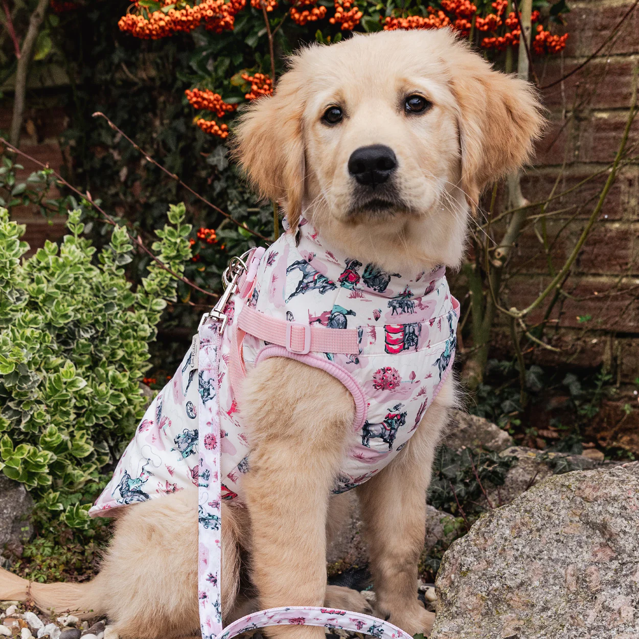 Cath Kidston Cowgirl Dog Coat with Harness - Image 8