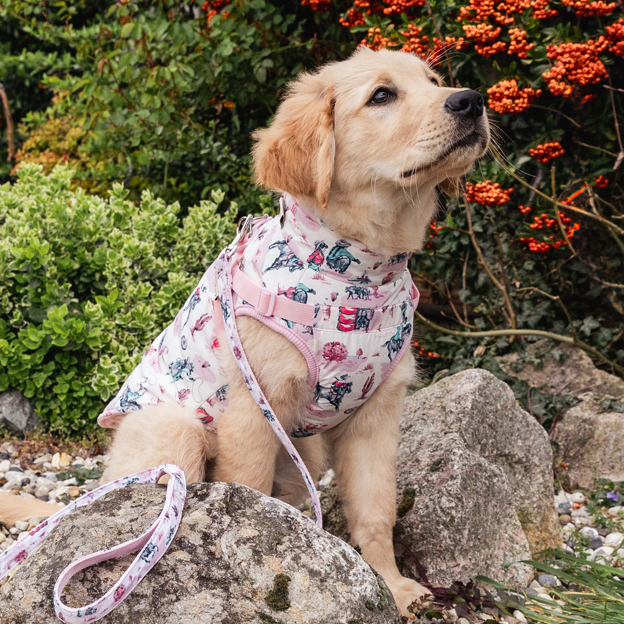 Cath Kidston Cowgirl Dog Coat with Harness - Image 9