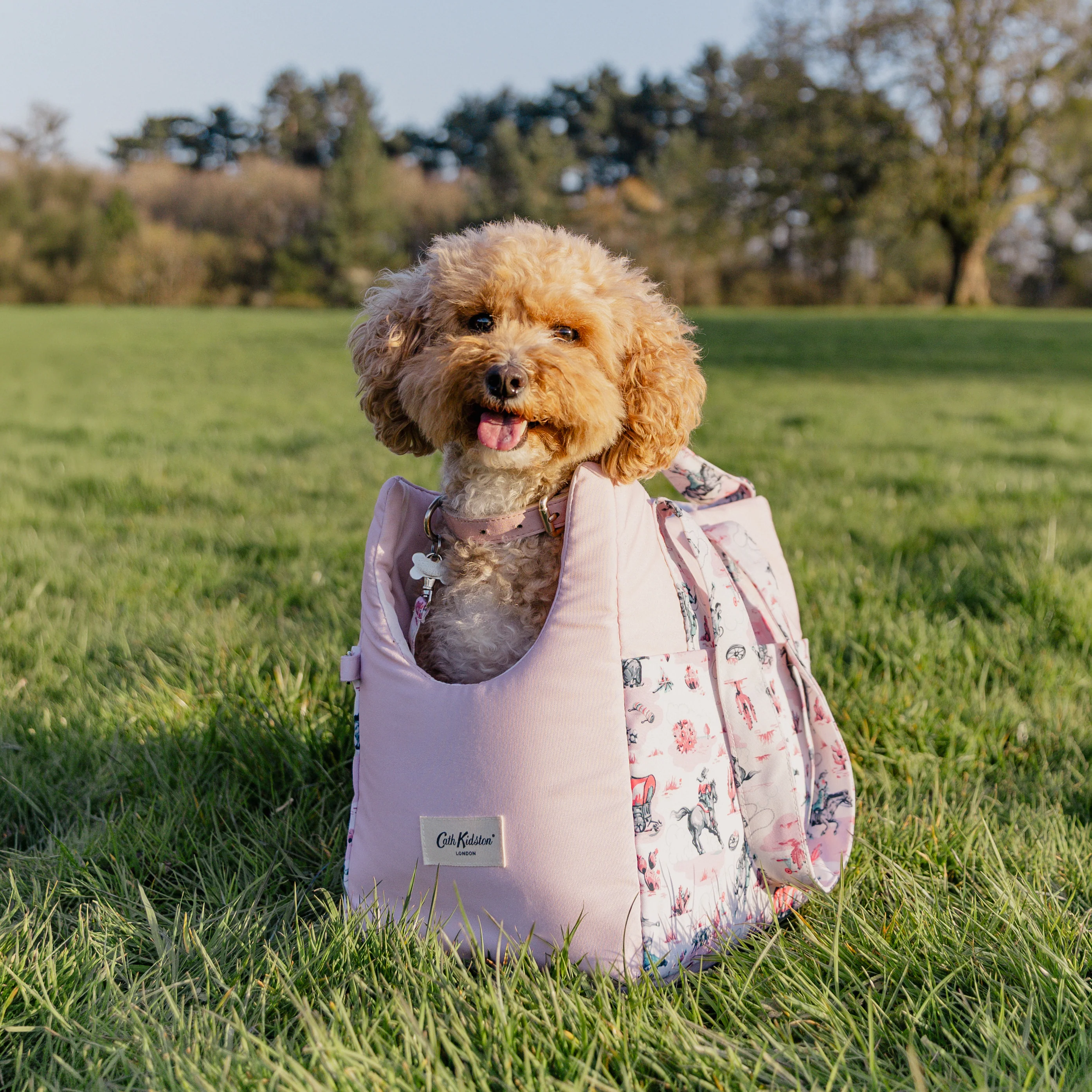 Cath Kidston Cowgirl Pet Carrier - Image 10