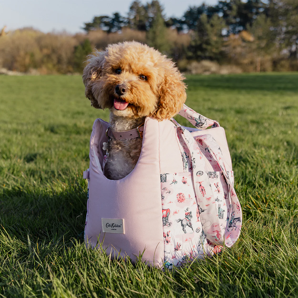 Cath Kidston Cowgirl Pet Carrier - Image 3