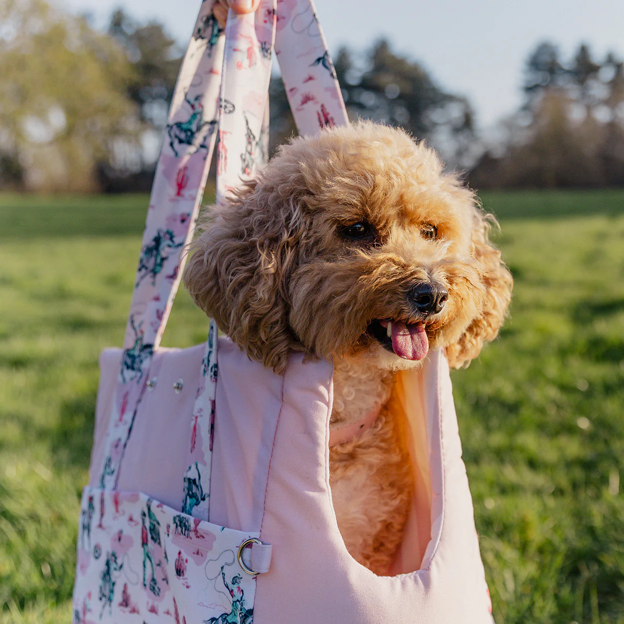 Cath Kidston Cowgirl Pet Carrier - Image 6