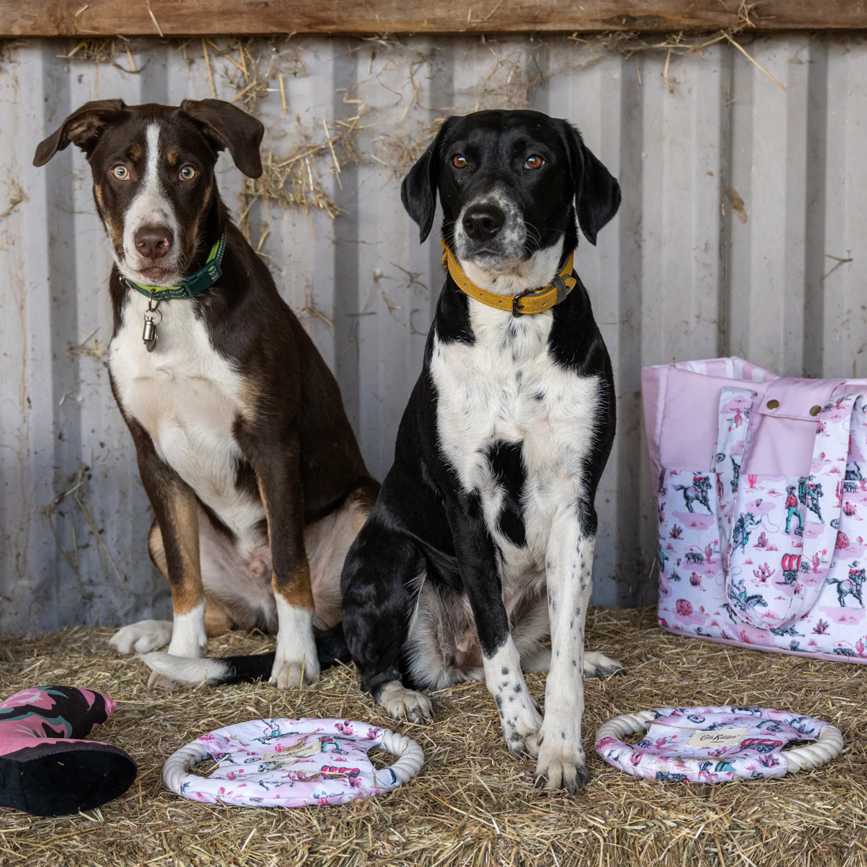 Cath Kidston Cowgirl Rope Frisbee Dog Toy - Image 4