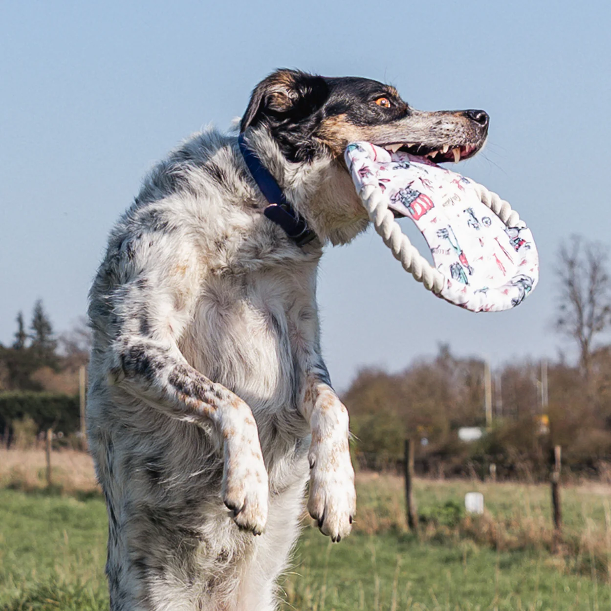 Cath Kidston Cowgirl Rope Frisbee Dog Toy - Image 5