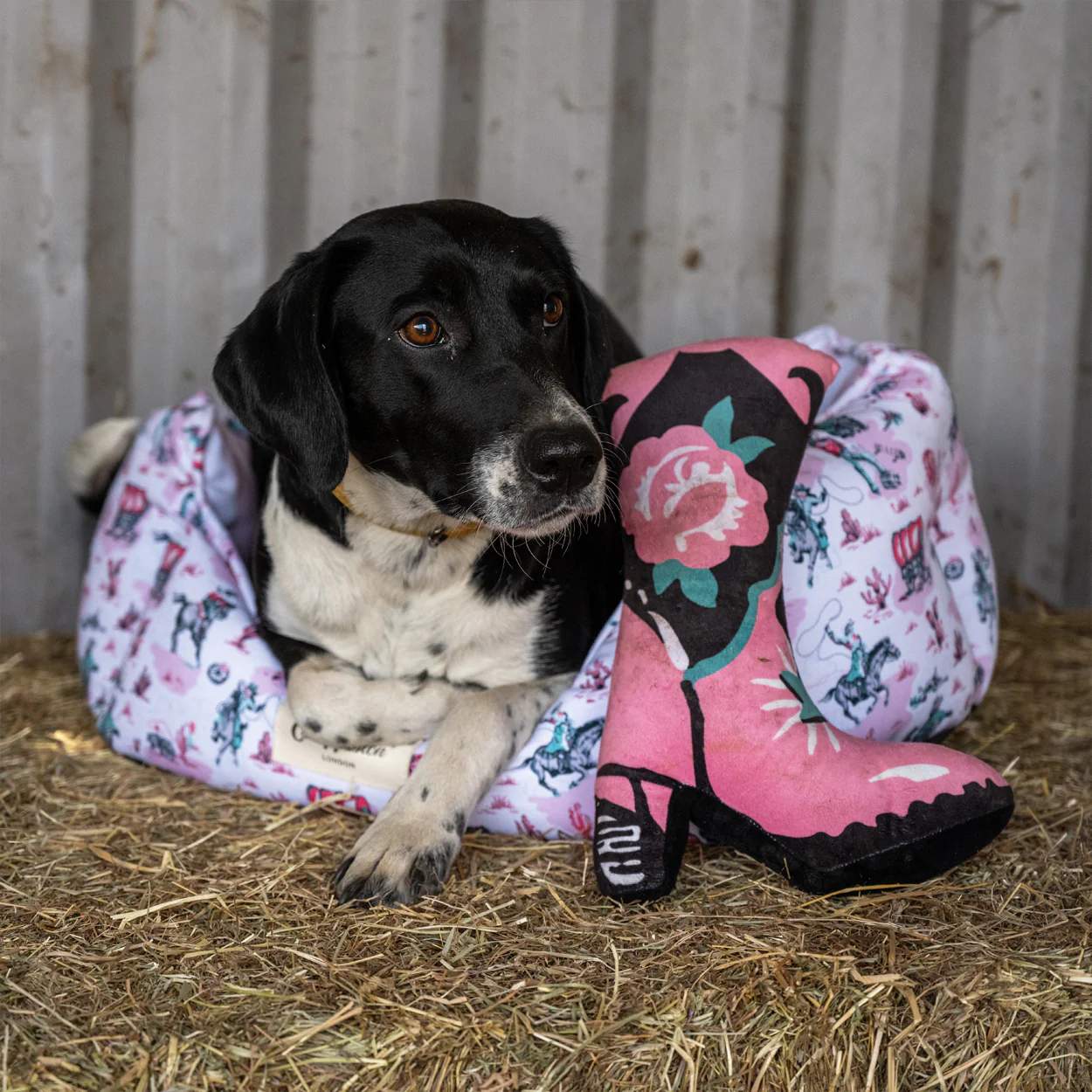 Cath Kidston Cowgirl Scallop Pet Bed - Image 6