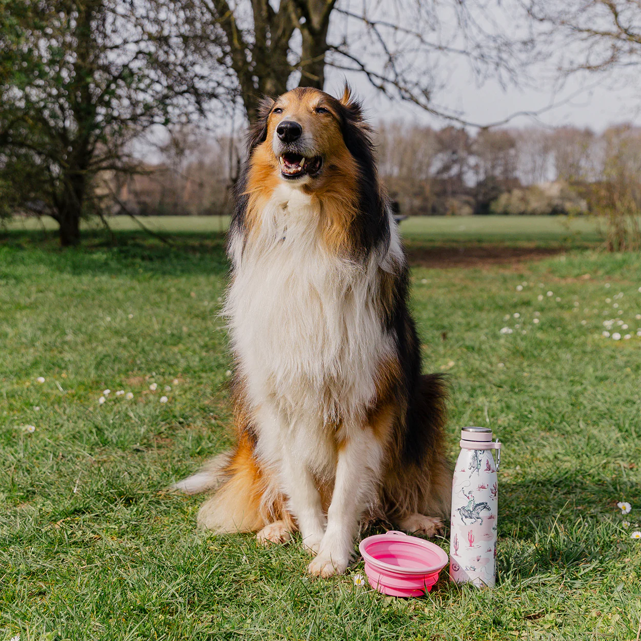 Cath Kidston Cowgirl Steel Water Bottle & Collapsible Bowl Set - Image 3