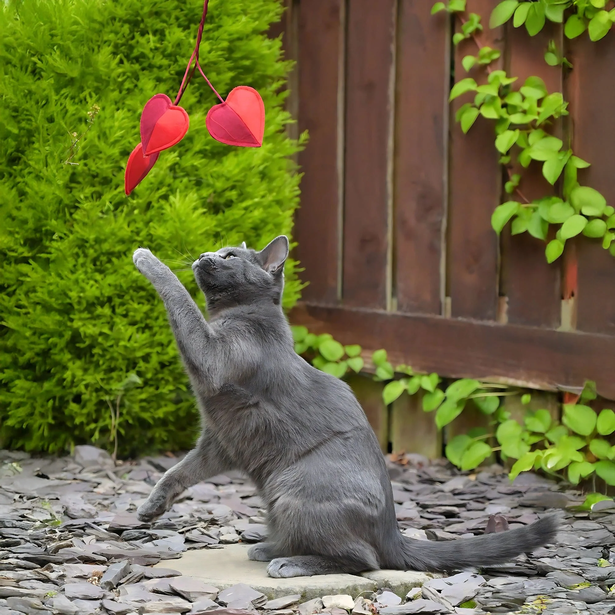 Cath Kidston Dogs & Roses 3 Hearts Cat Teaser Toy - Image 3