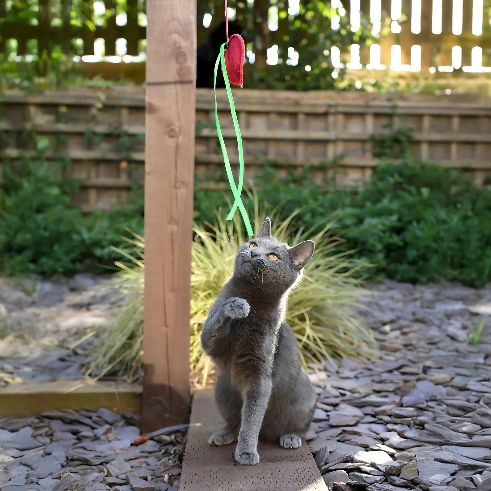 Cath Kidston Dogs & Roses Cat Teaser Toy - Image 3