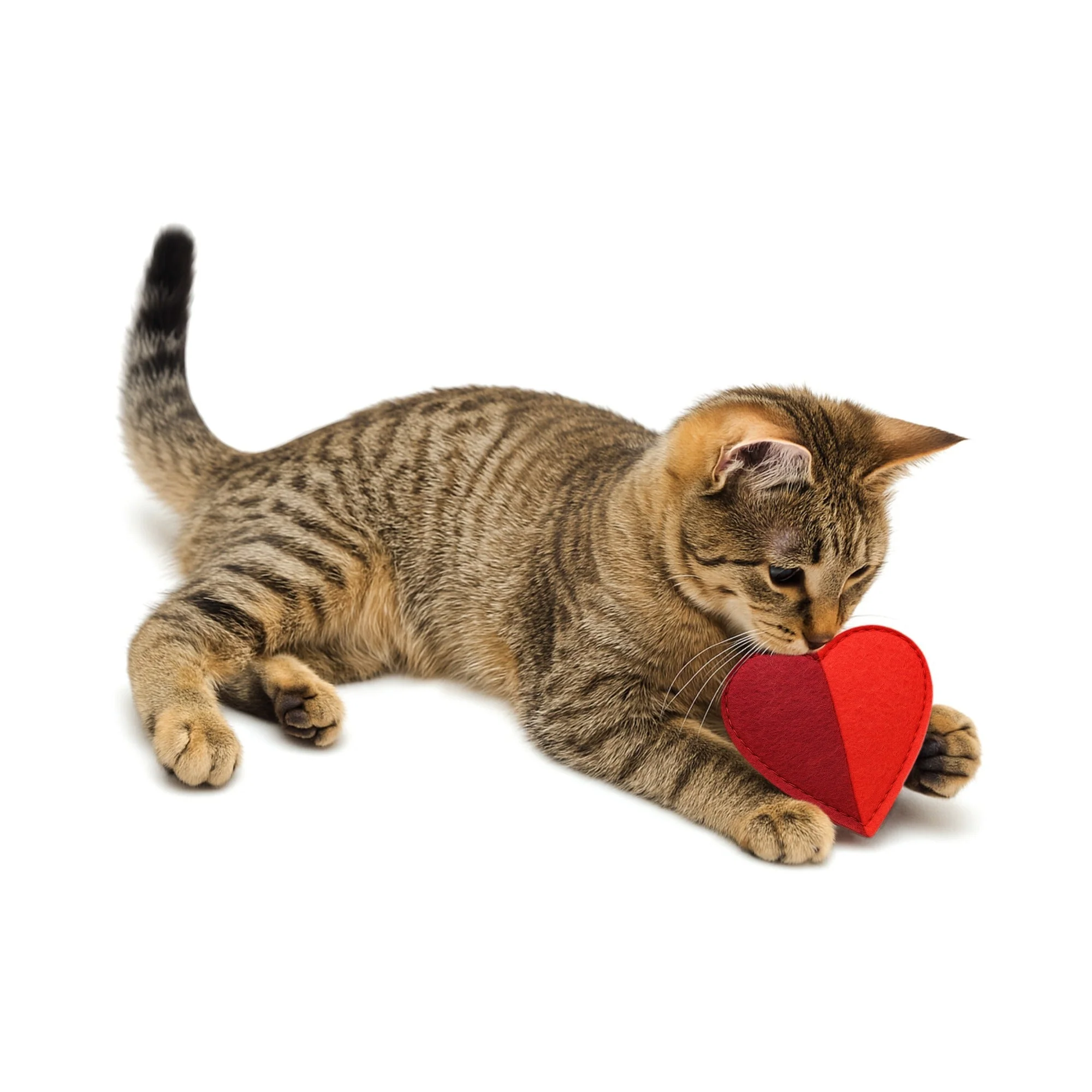 Cath Kidston Dogs & Roses Felt Hearts Cat Toy - Image 2