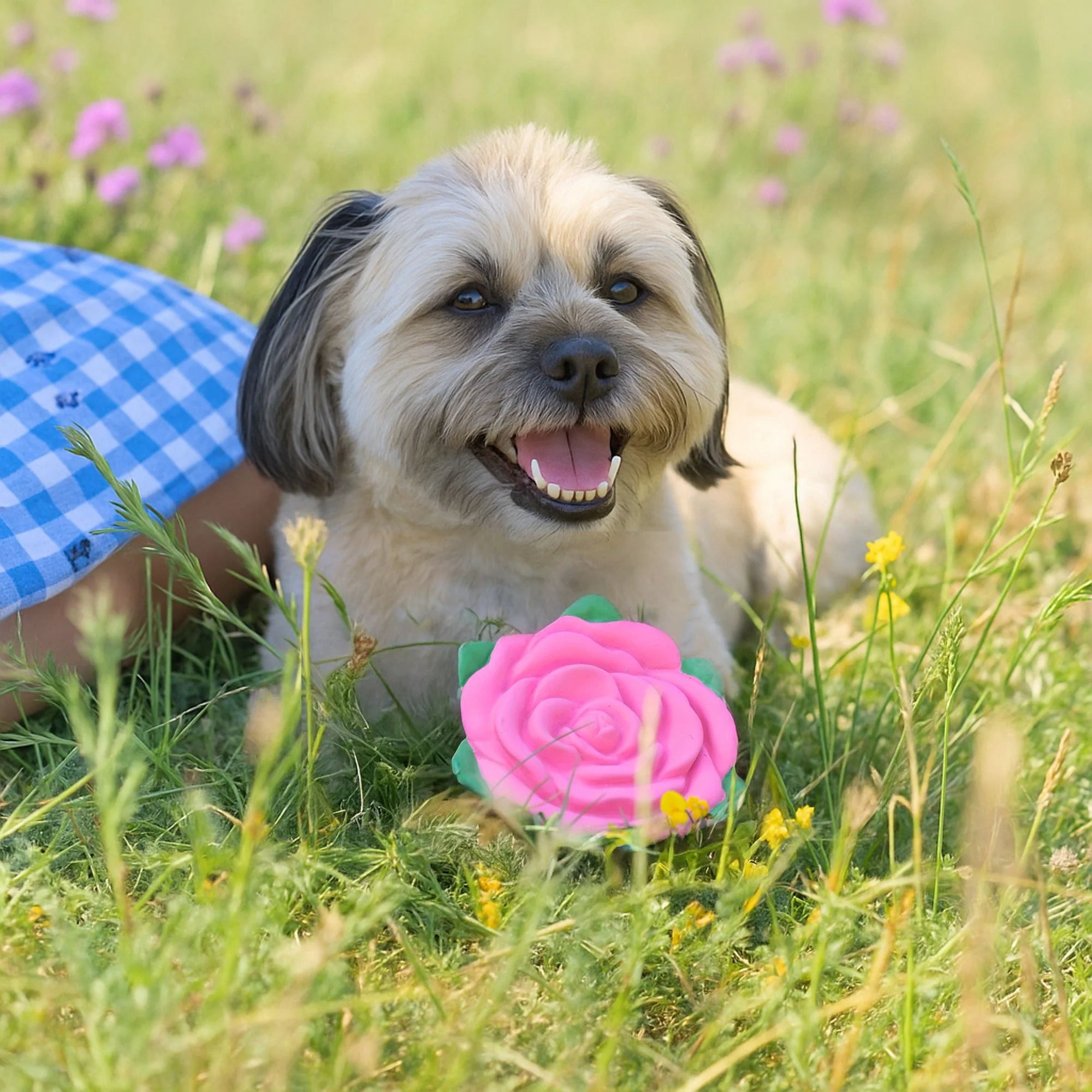 Cath Kidston Dolly Rose Latex Rose Ball Dog Toy - Image 3
