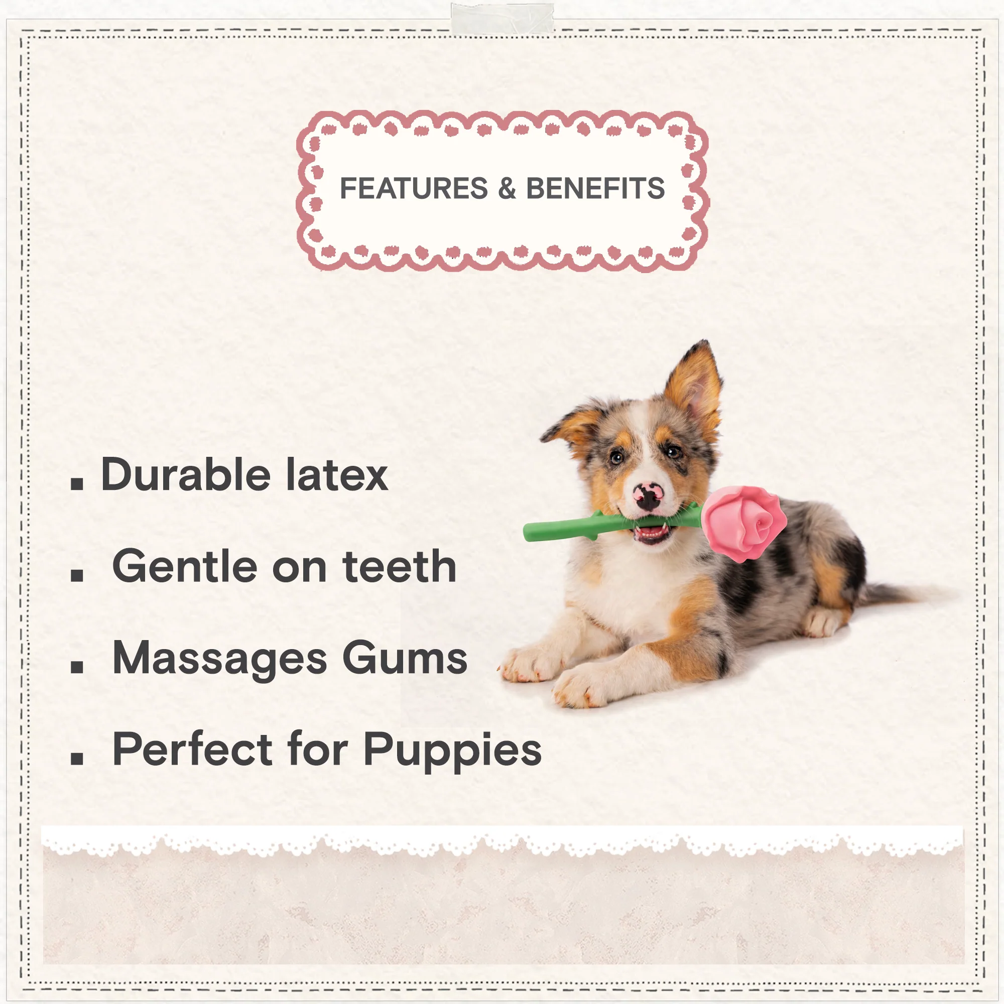 Cath Kidston Dolly Rose Latex Rose Dog Toy - Image 8