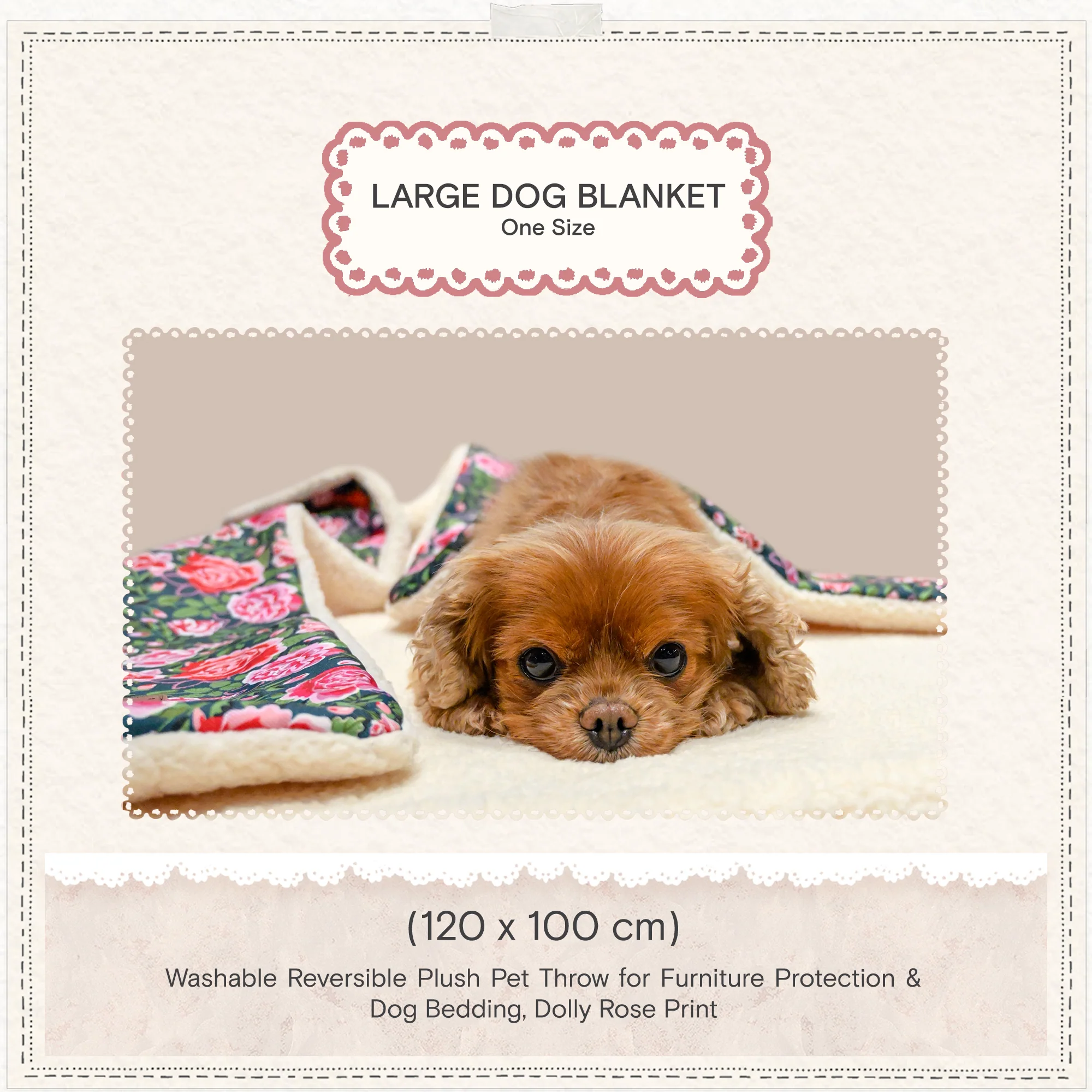 Cath Kidston Dolly Rose Pet Blanket - Image 4